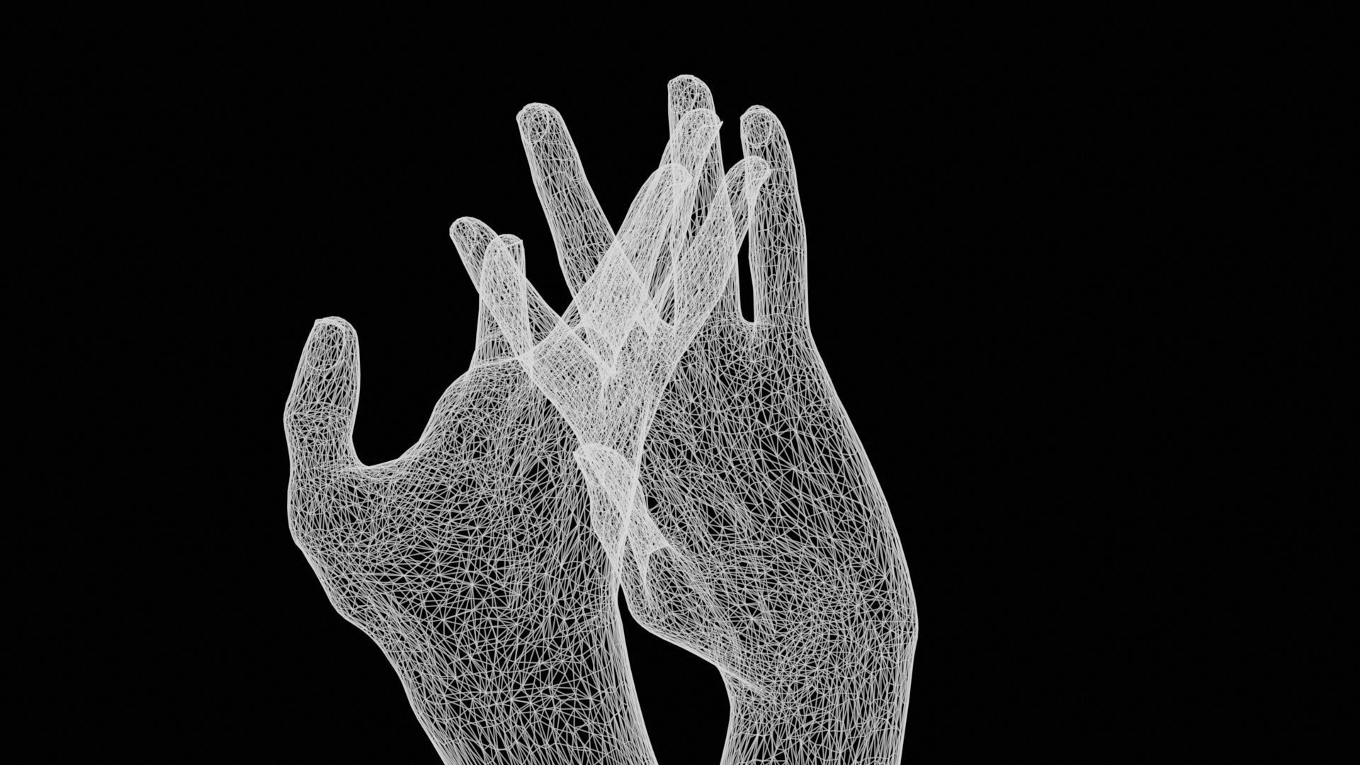 Entangled Duo Hands 028 Low-poly 3D model_13