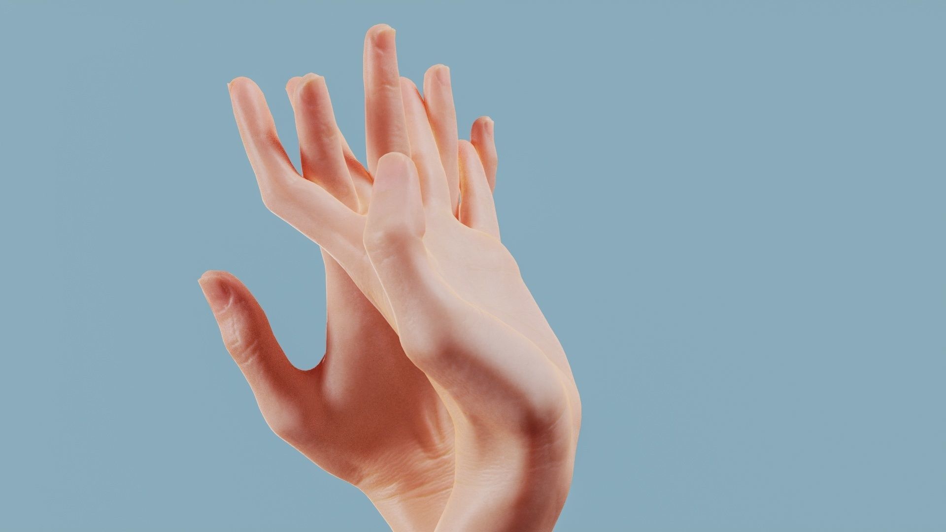 Entangled Duo Hands 028 Low-poly 3D model_9