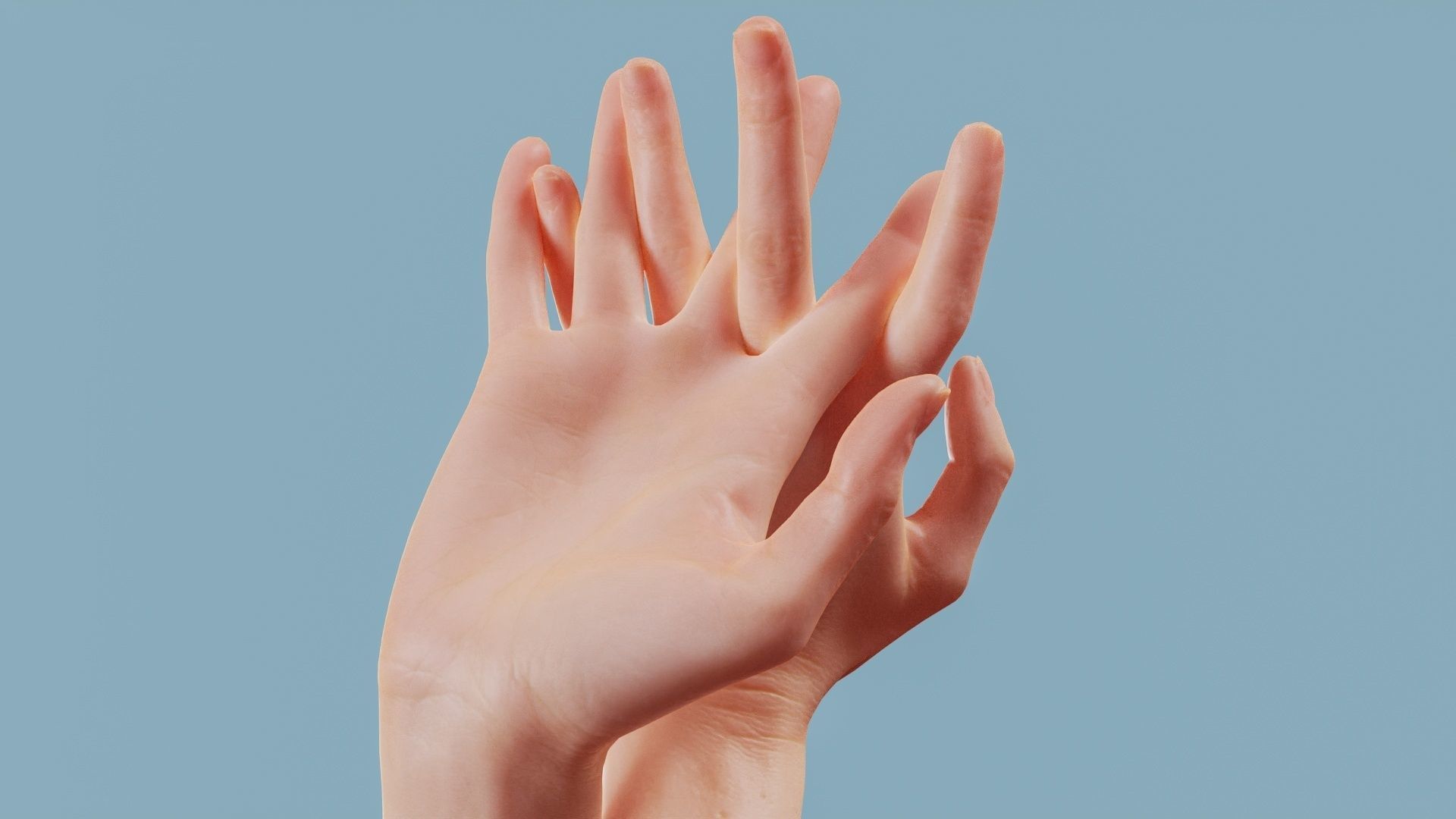 Entangled Duo Hands 028 Low-poly 3D model_1