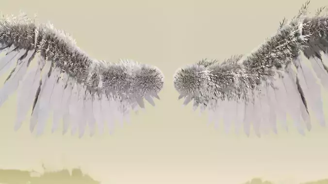 Angel Wings 
