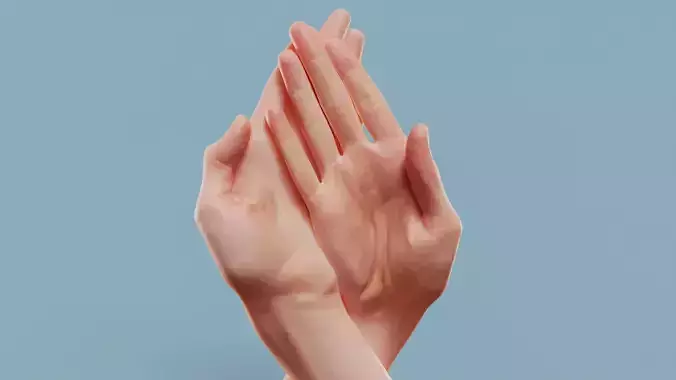 Criss Cross Duo Hands 008 Low-poly 3D model