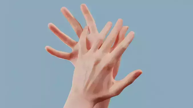 Clapped Duo Hands 027 Low-poly 3D model