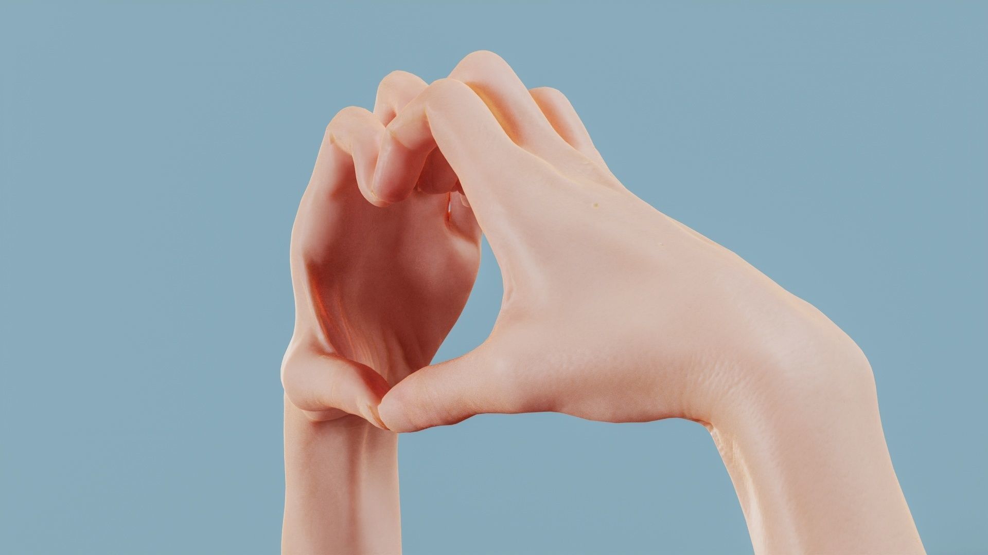 Cat Love Duo Hands 001 Low-poly 3D model_10