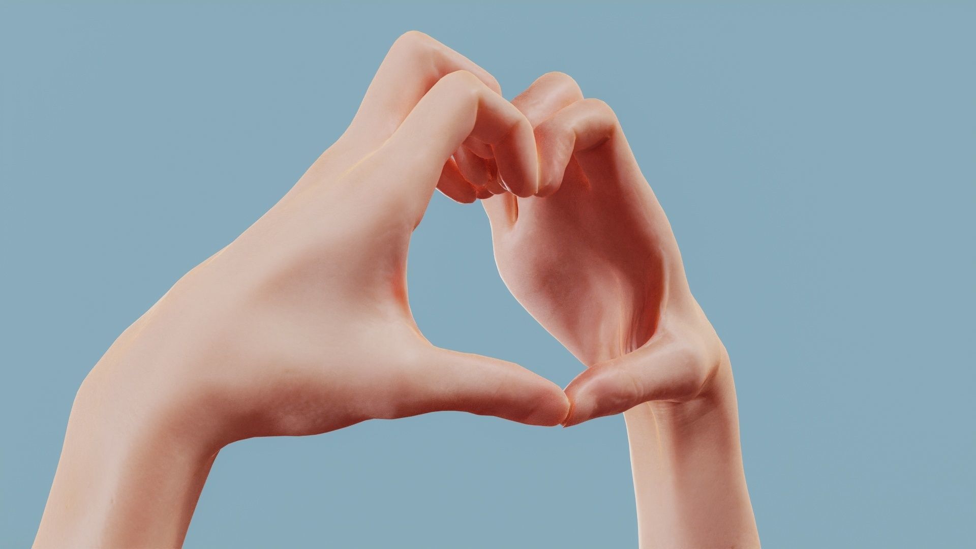 Cat Love Duo Hands 001 Low-poly 3D model_1