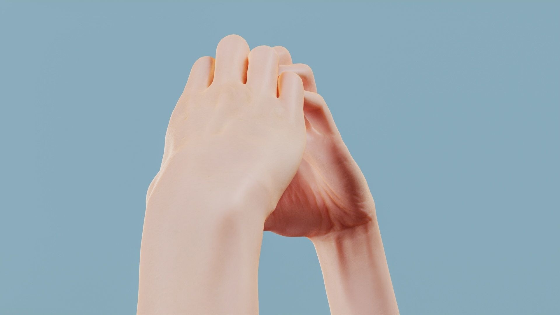 Cat Love Duo Hands 001 Low-poly 3D model_8