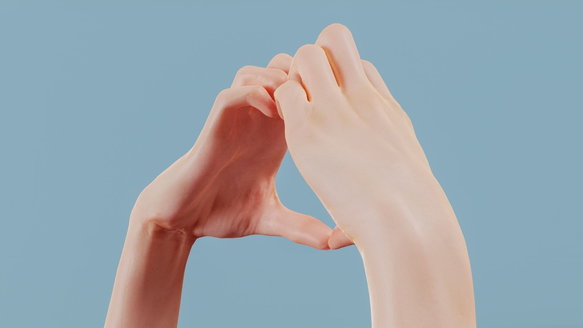 Cat Love Duo Hands 001 Low-poly 3D model_4