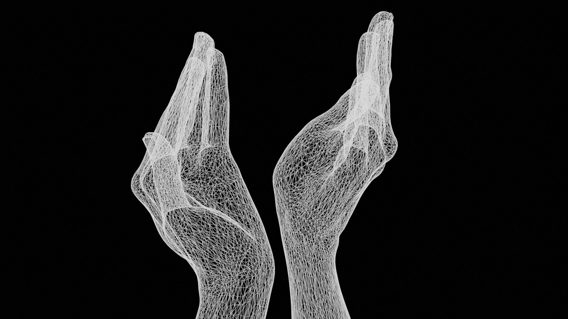 Applause Duo Hands 029 Low-poly 3D model_13