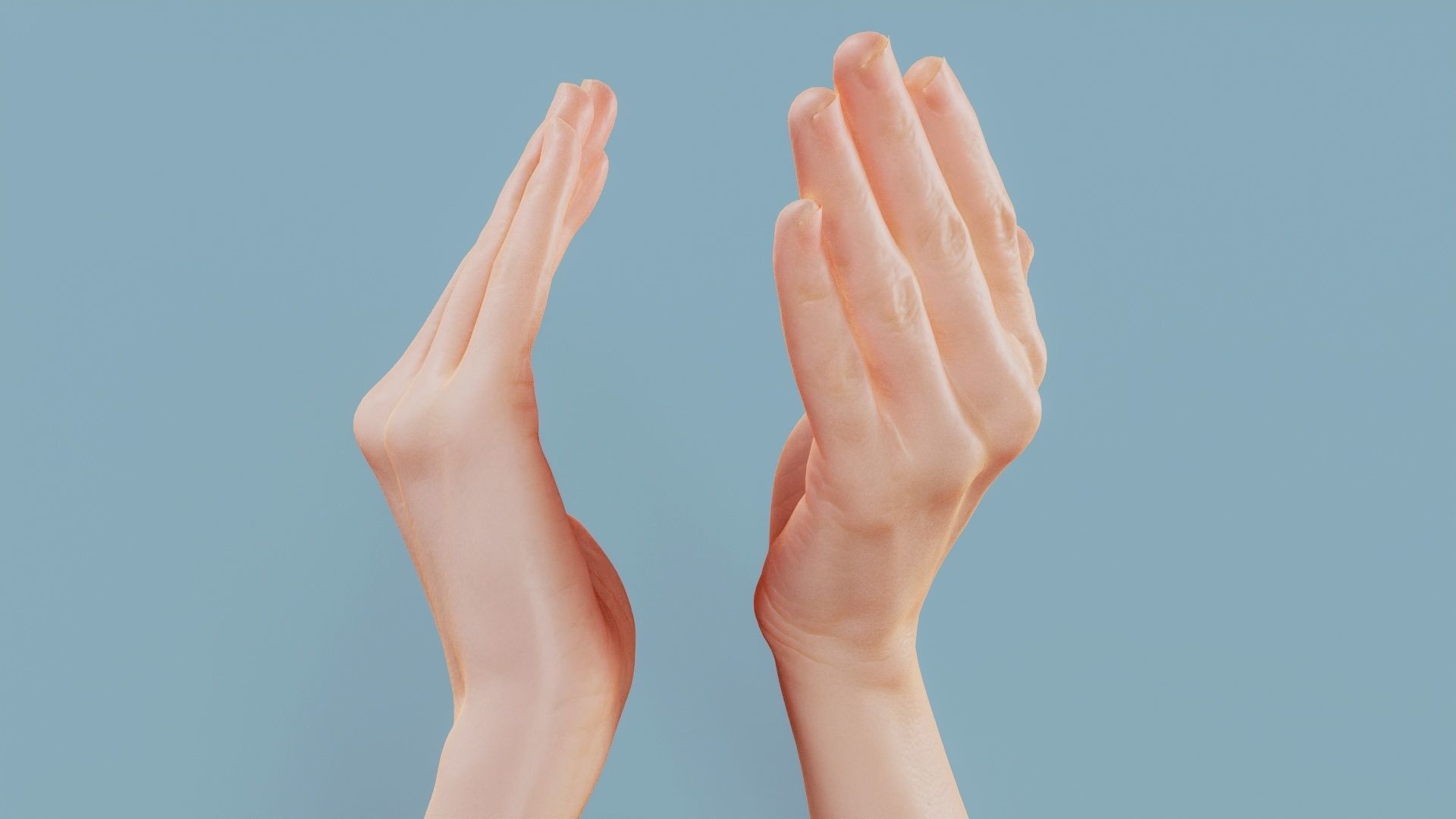 Applause Duo Hands 029 Low-poly 3D model_5