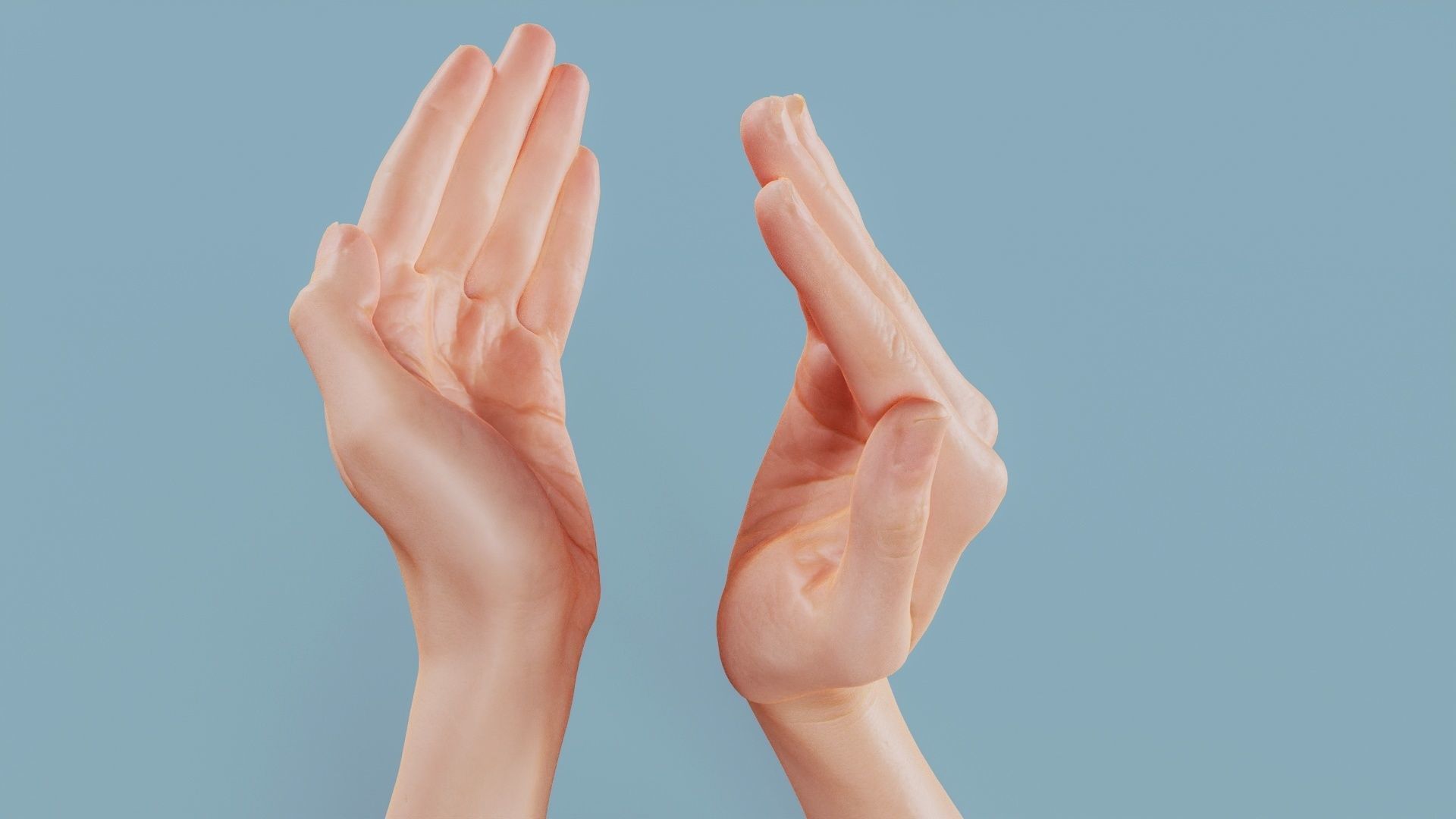 Applause Duo Hands 029 Low-poly 3D model_11