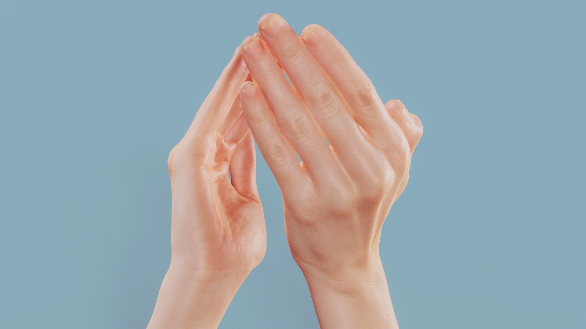 Applause Duo Hands 029 Low-poly 3D model_4