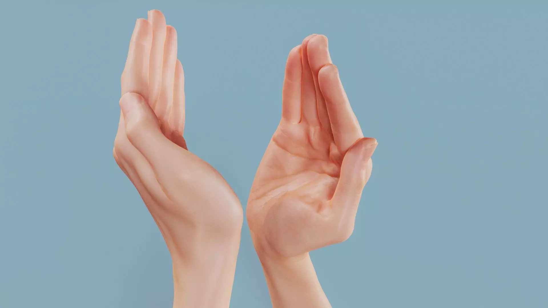 Applause Duo Hands 029 Low-poly 3D model_0
