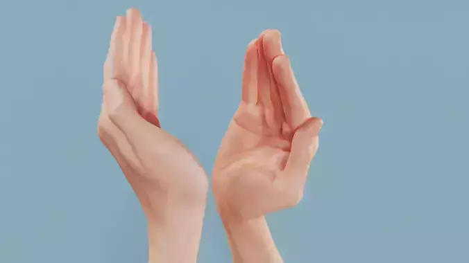 Applause Duo Hands 029 Low-poly 3D model