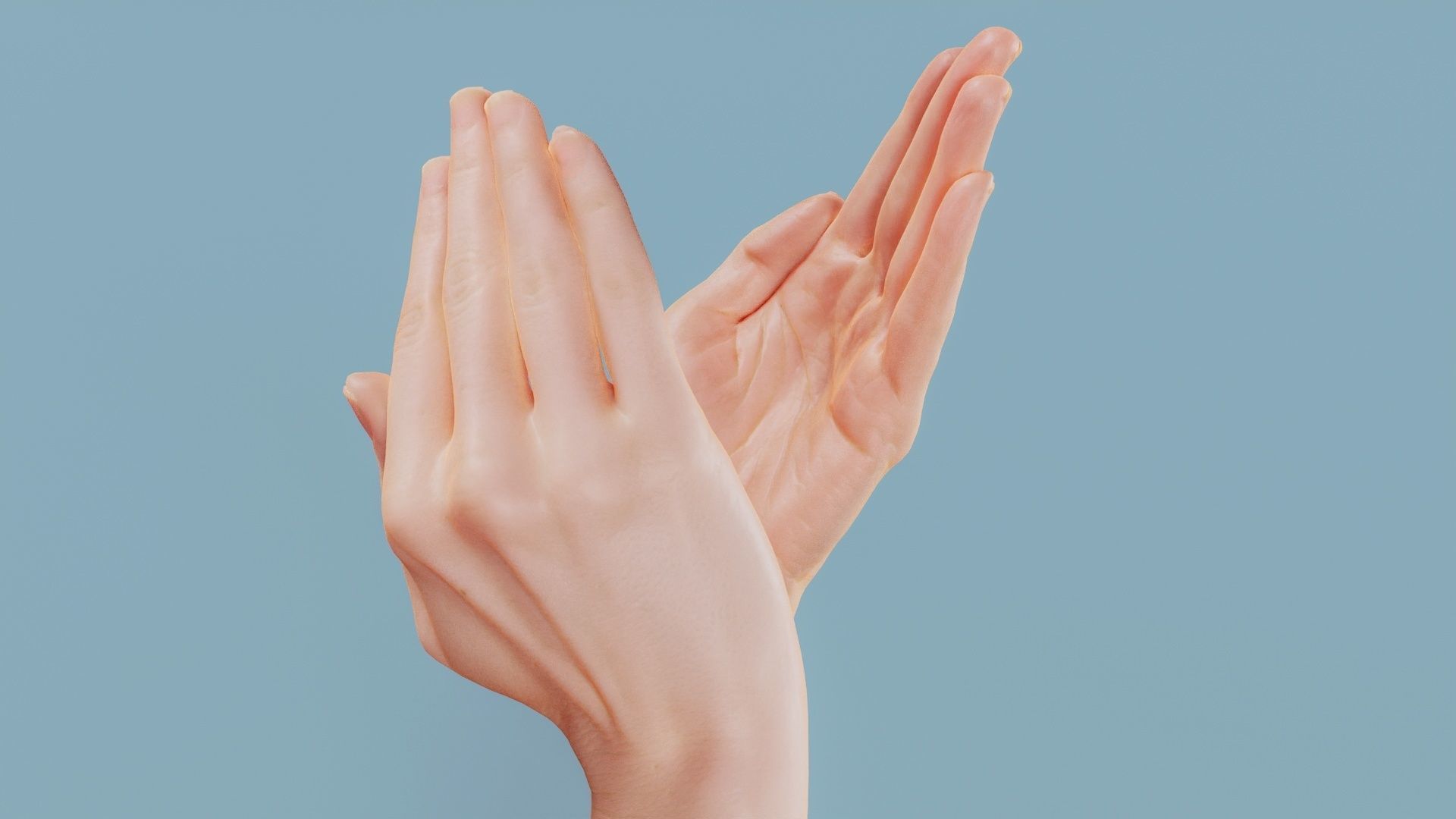 Applause Duo Hands 029 Low-poly 3D model_7
