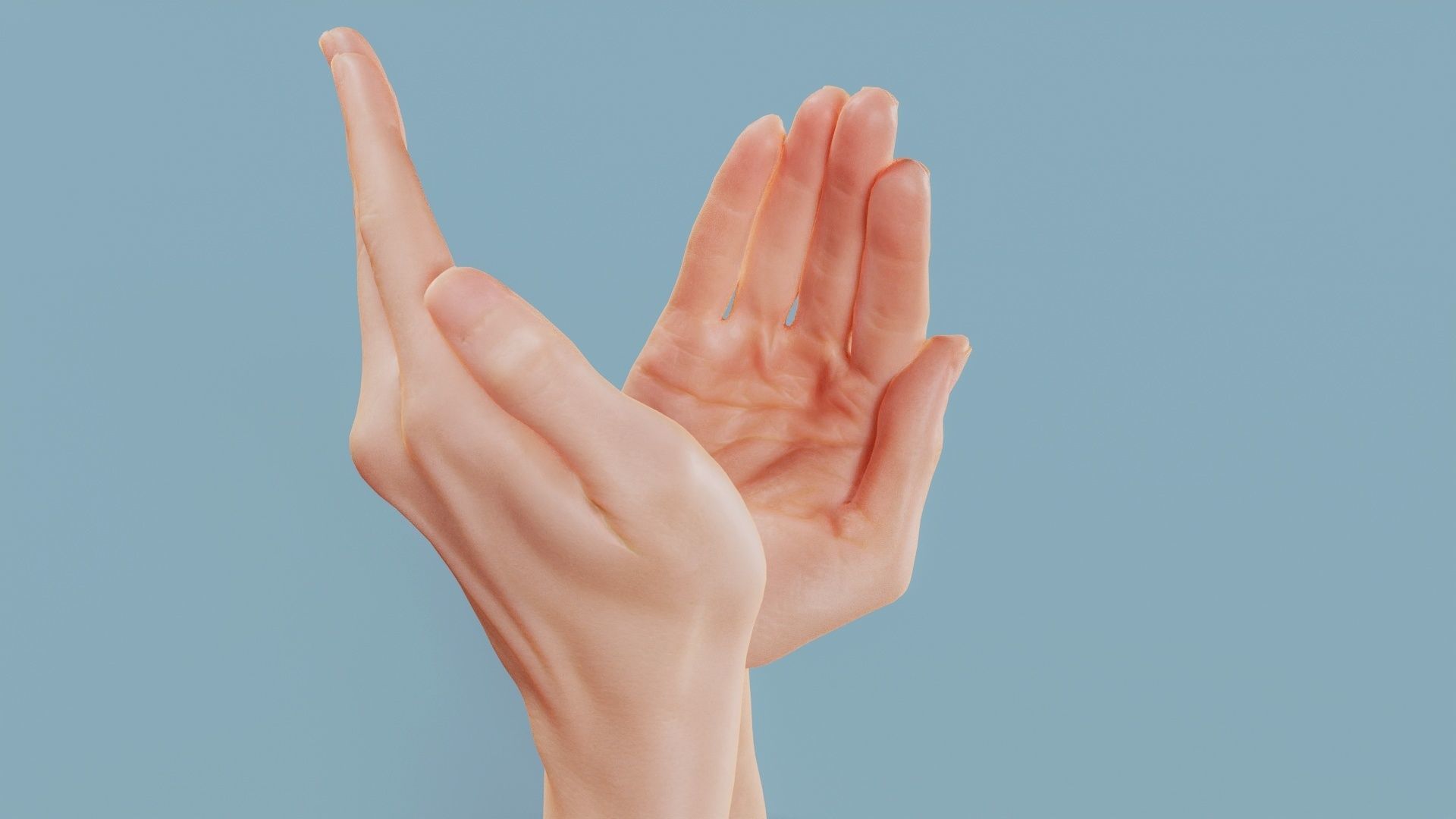 Applause Duo Hands 029 Low-poly 3D model_1