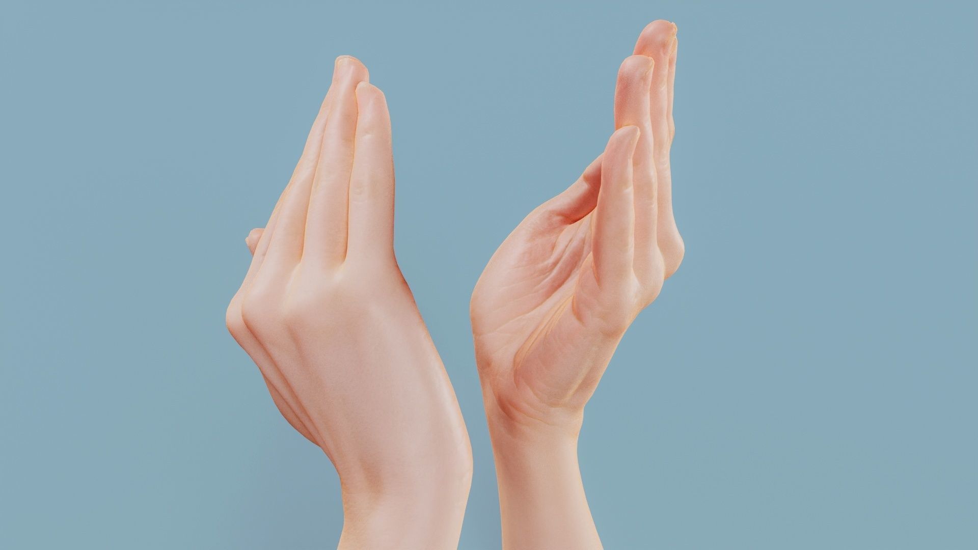 Applause Duo Hands 029 Low-poly 3D model_6
