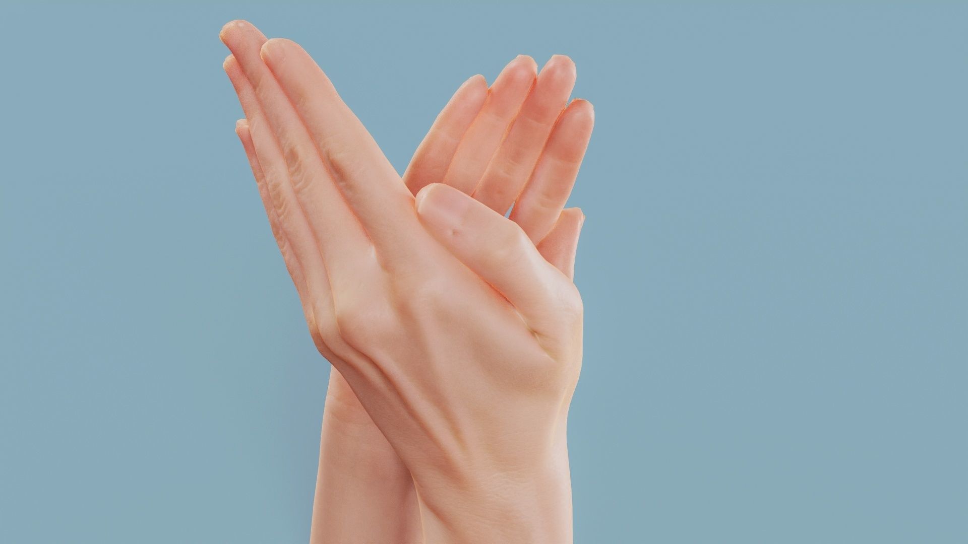 Applause Duo Hands 029 Low-poly 3D model_2