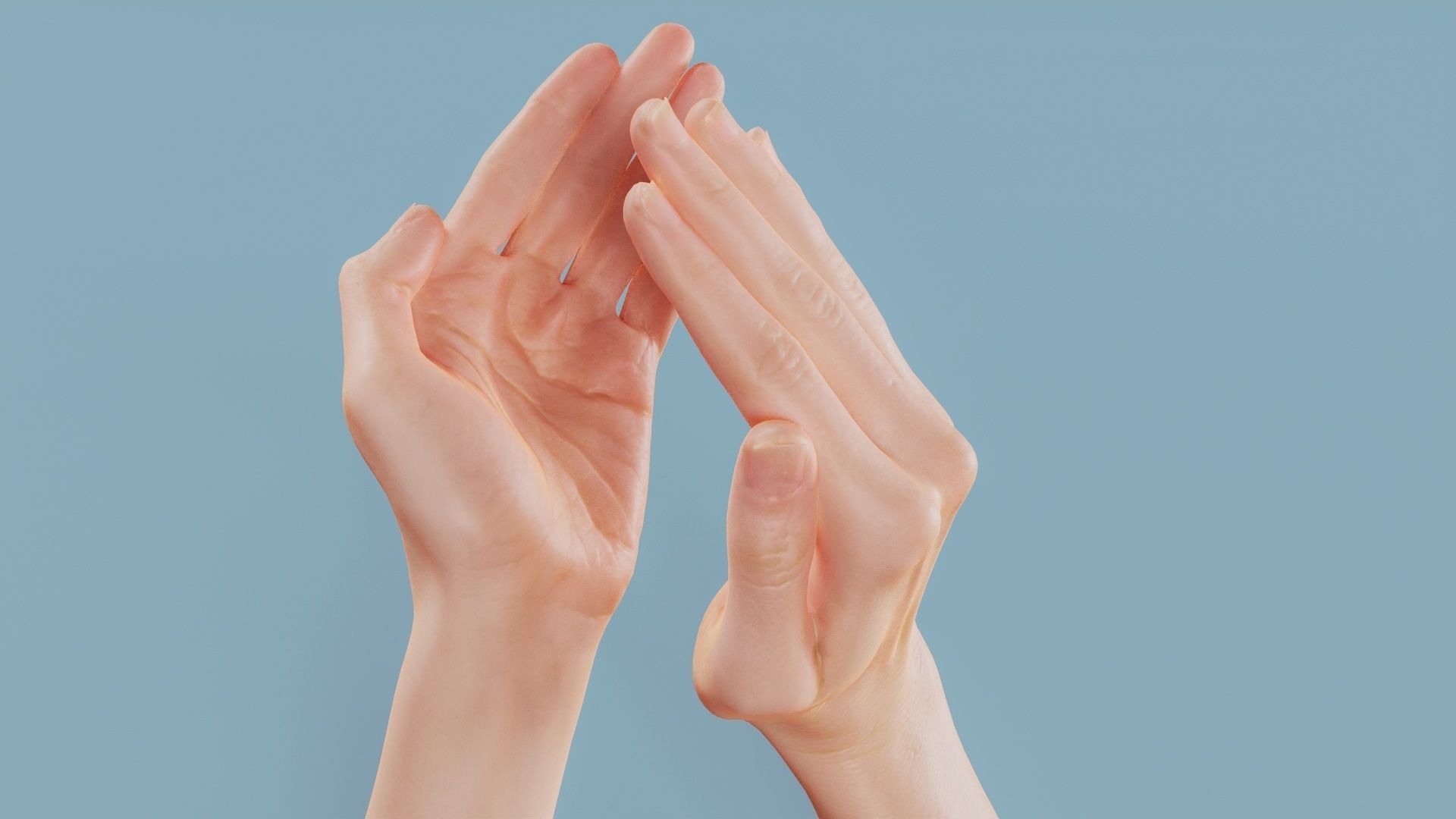 Applause Duo Hands 029 Low-poly 3D model_10