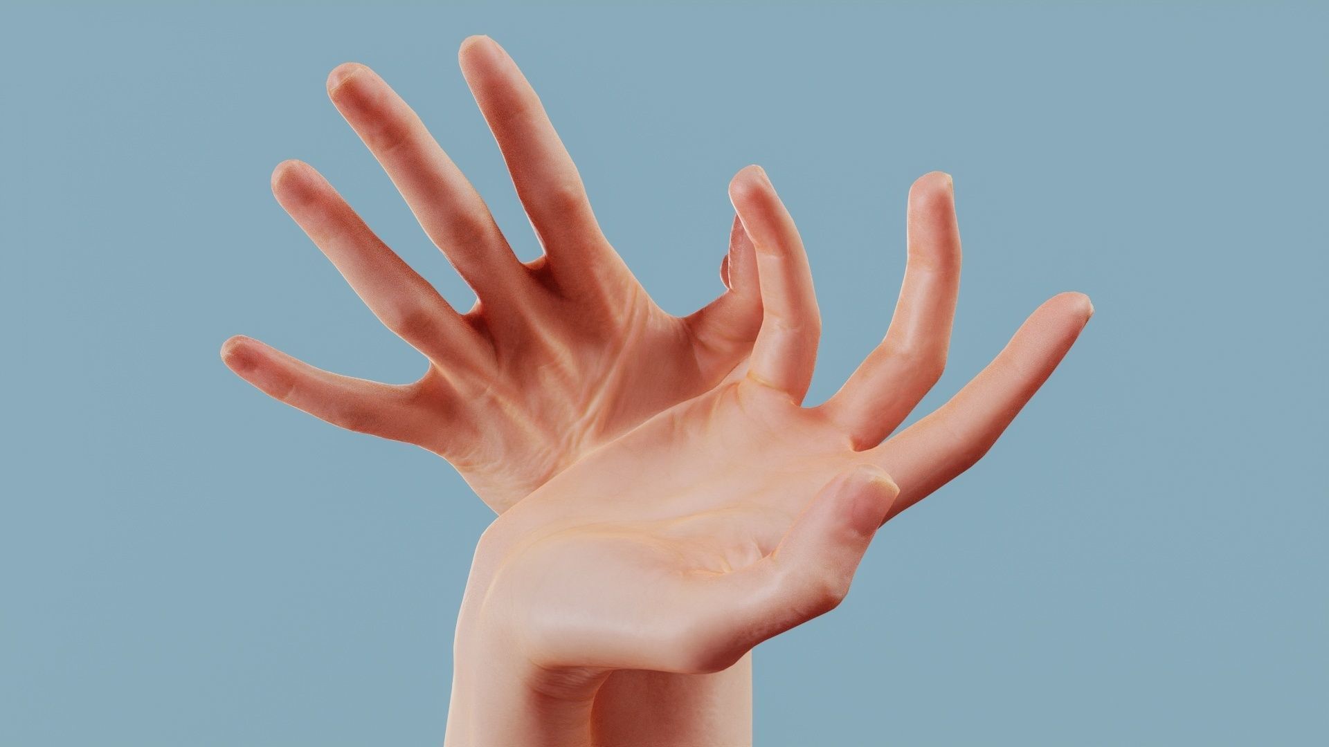About the Ring Finger and the Thumb Duo Hands 030 Low-poly 3D model_11