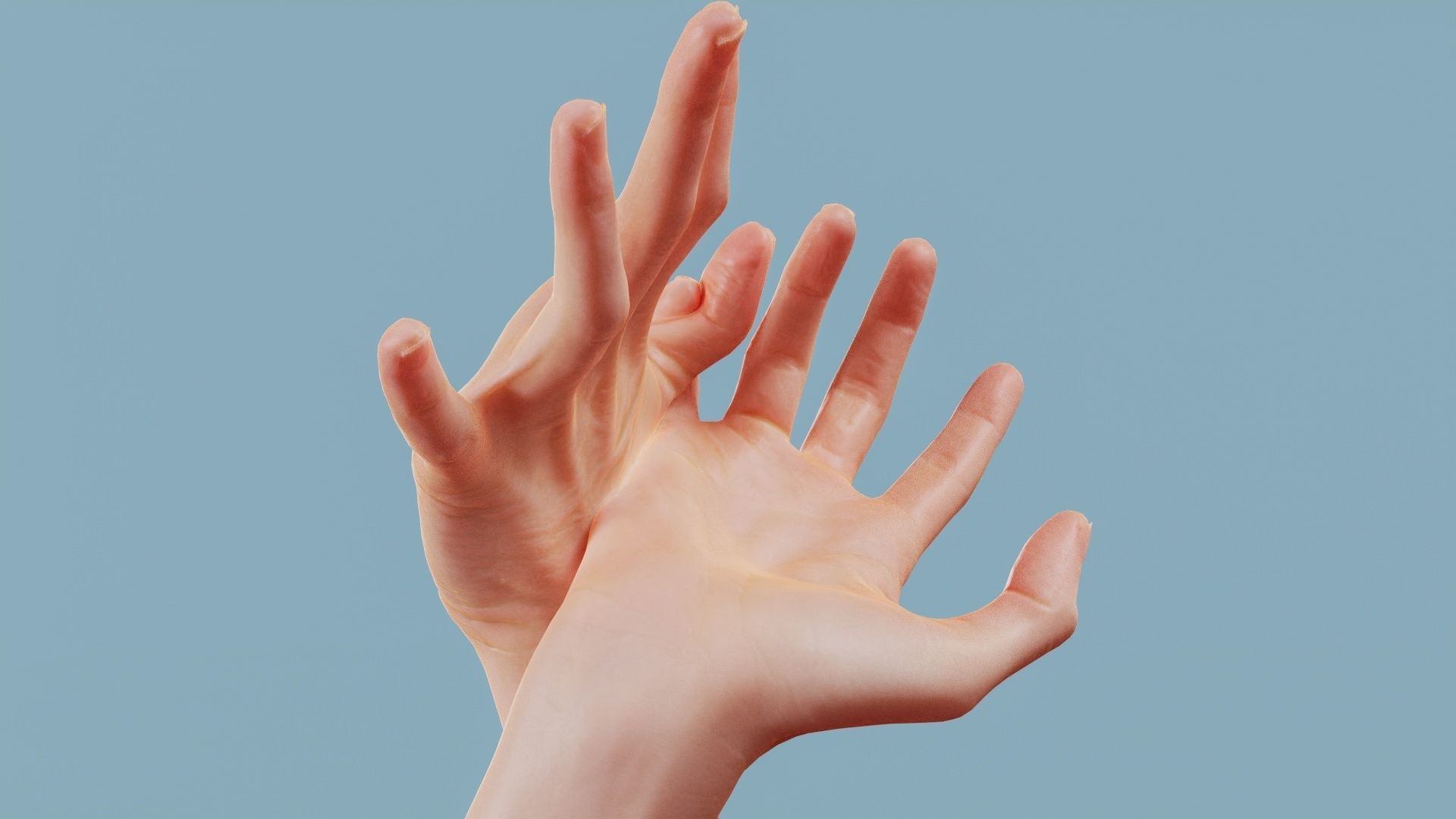 About the Ring Finger and the Thumb Duo Hands 030 Low-poly 3D model_1