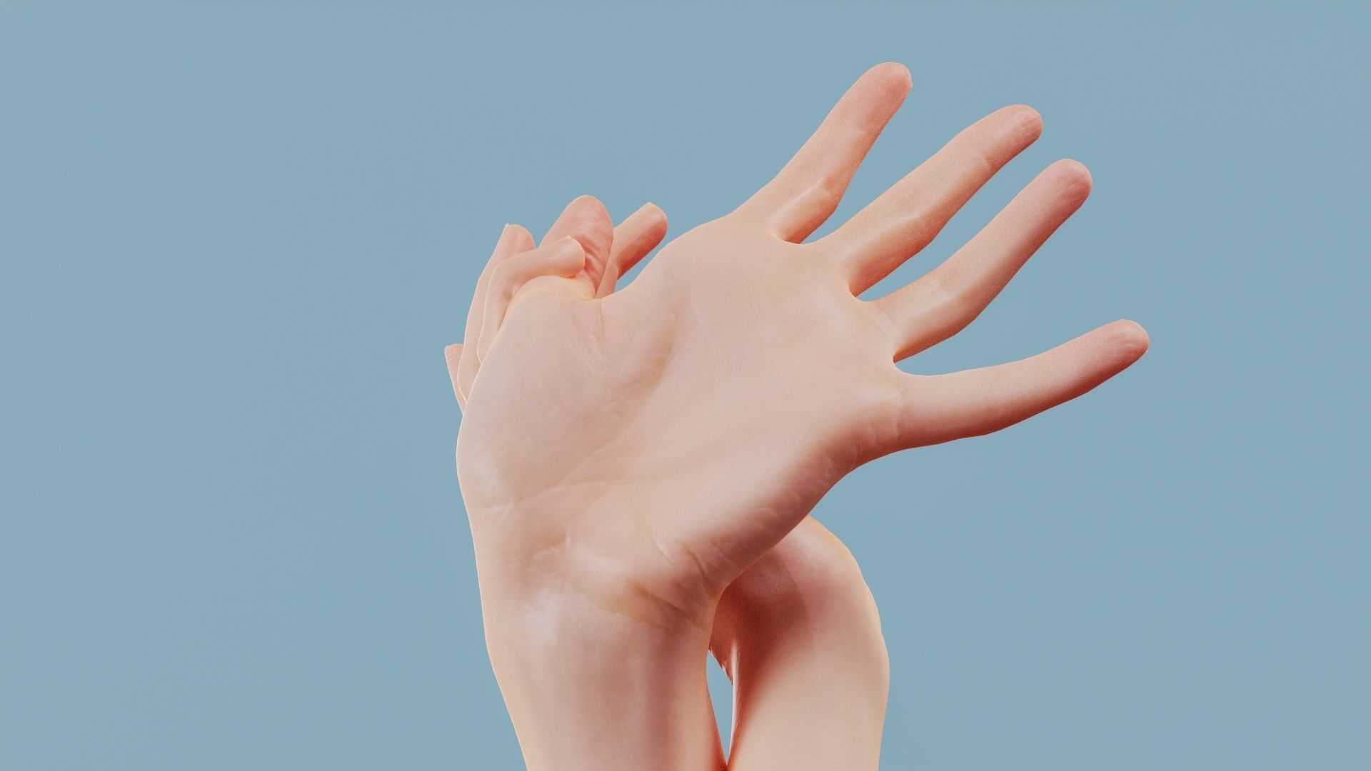 About the Ring Finger and the Thumb Duo Hands 030 Low-poly 3D model_4