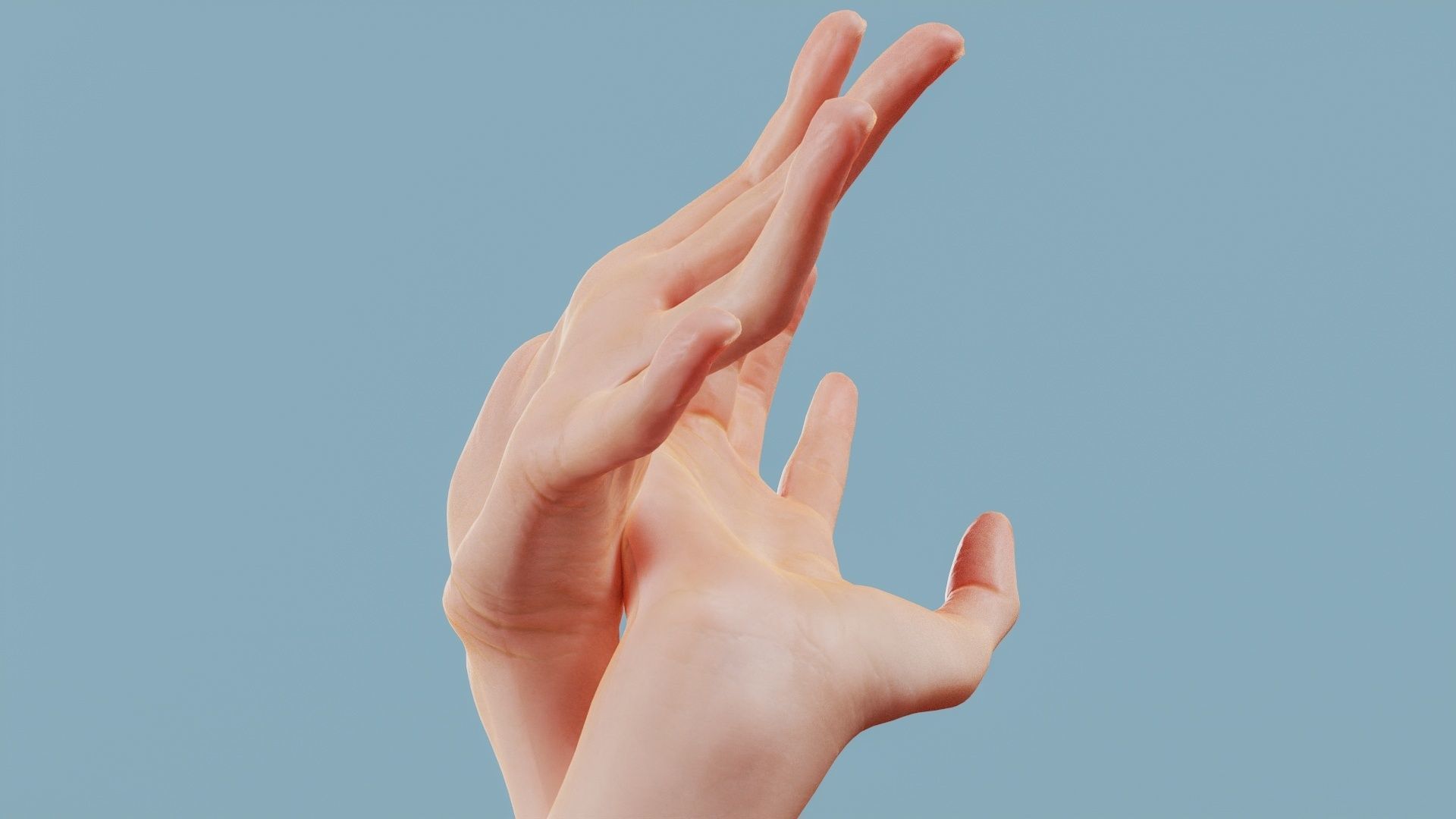 About the Ring Finger and the Thumb Duo Hands 030 Low-poly 3D model_2