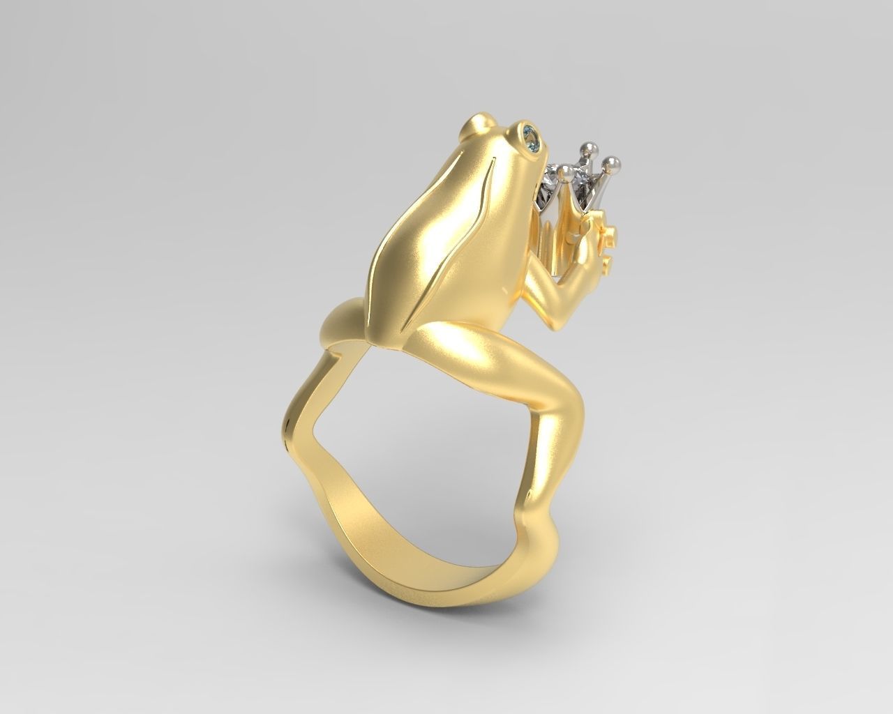 R 004 ring frog 3D print model_2
