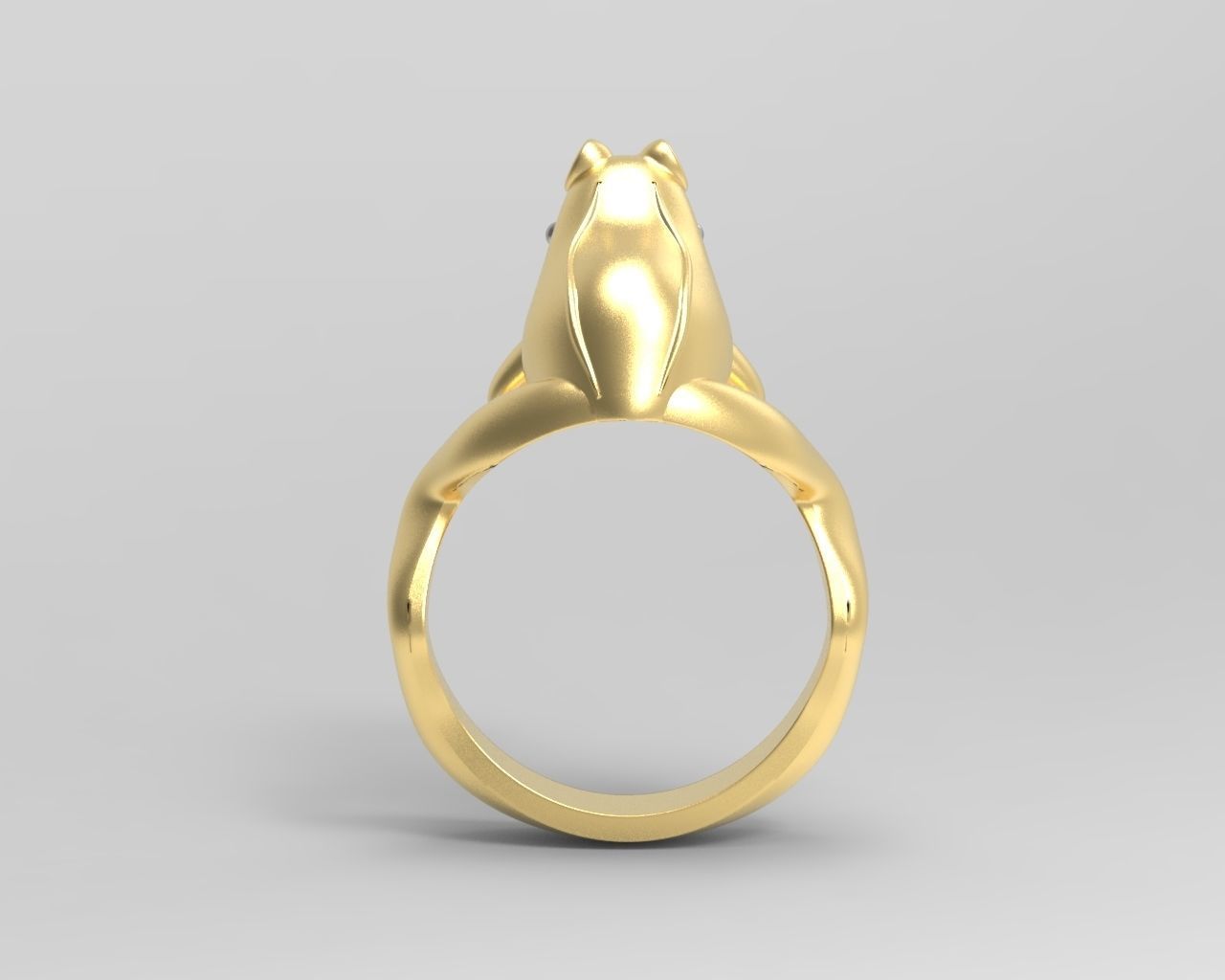 R 004 ring frog 3D print model_7
