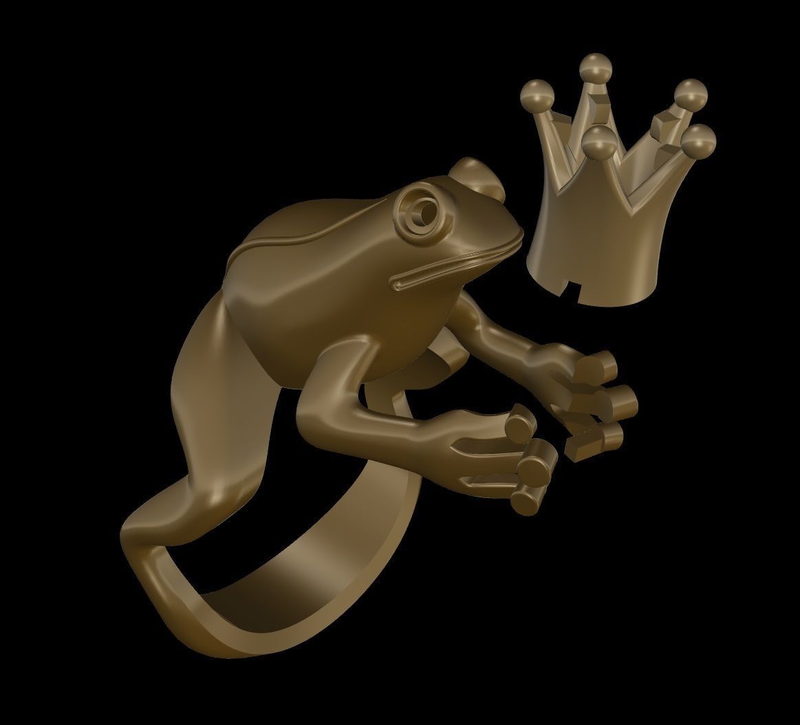 R 004 ring frog 3D print model_11