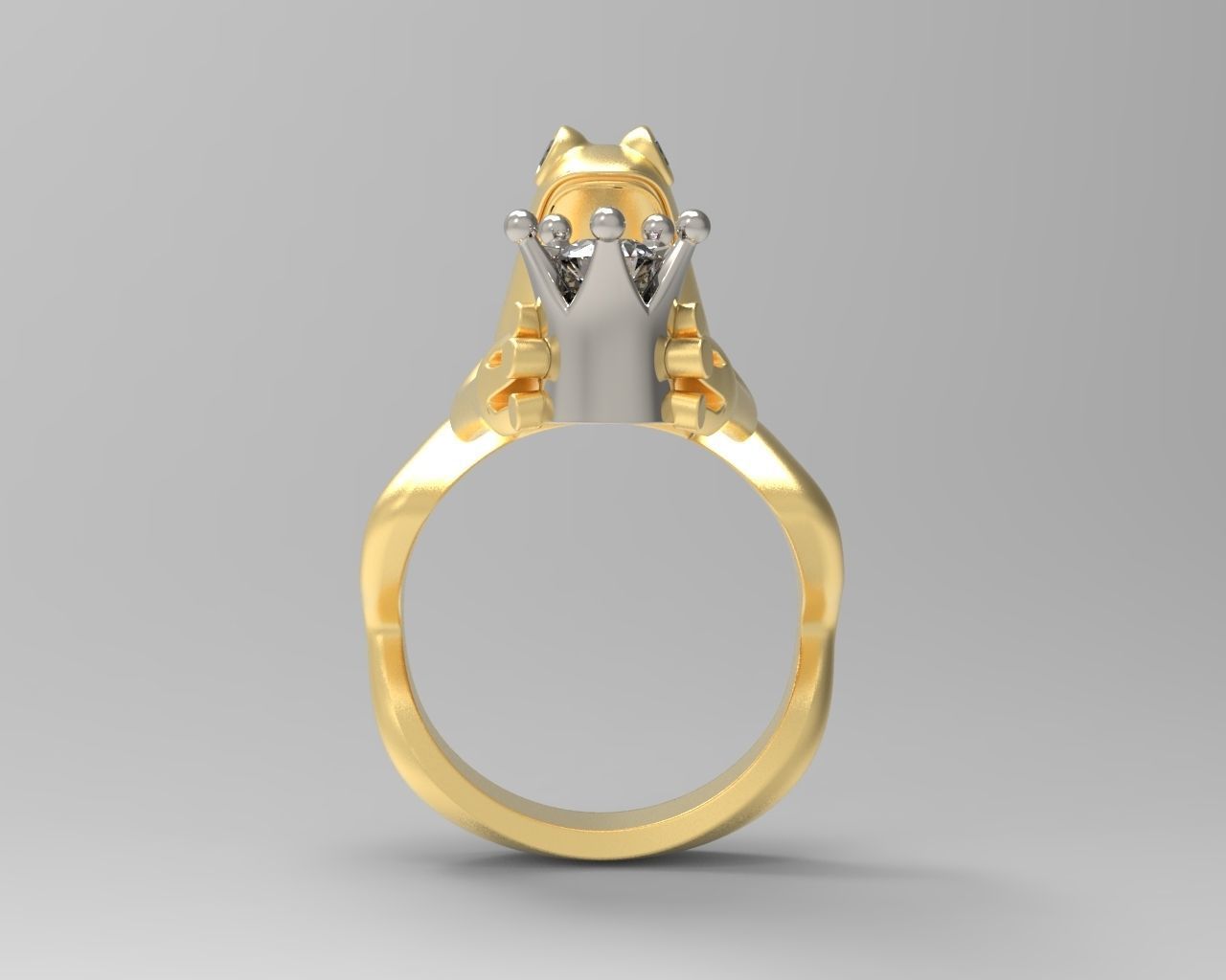 R 004 ring frog 3D print model_6