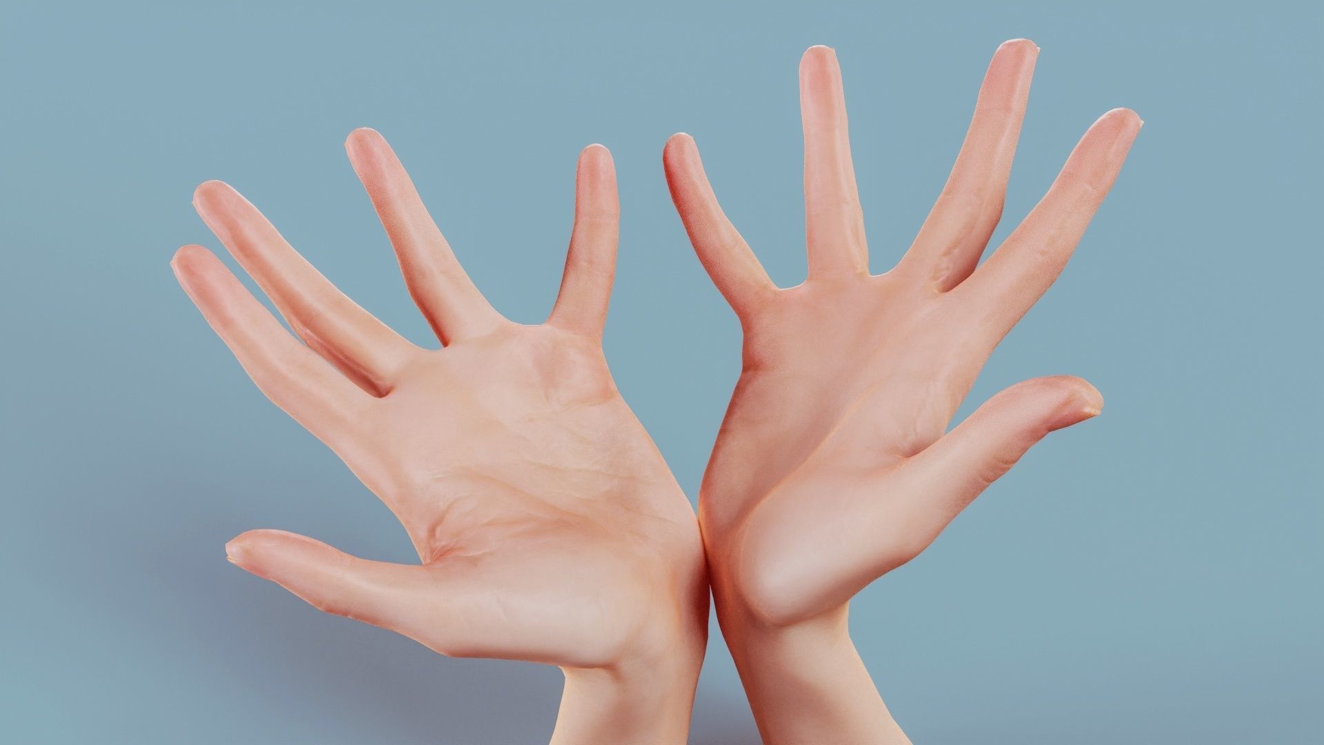 19 Photorealistic Interacting Female Hand Poses 3D Model Collection_6