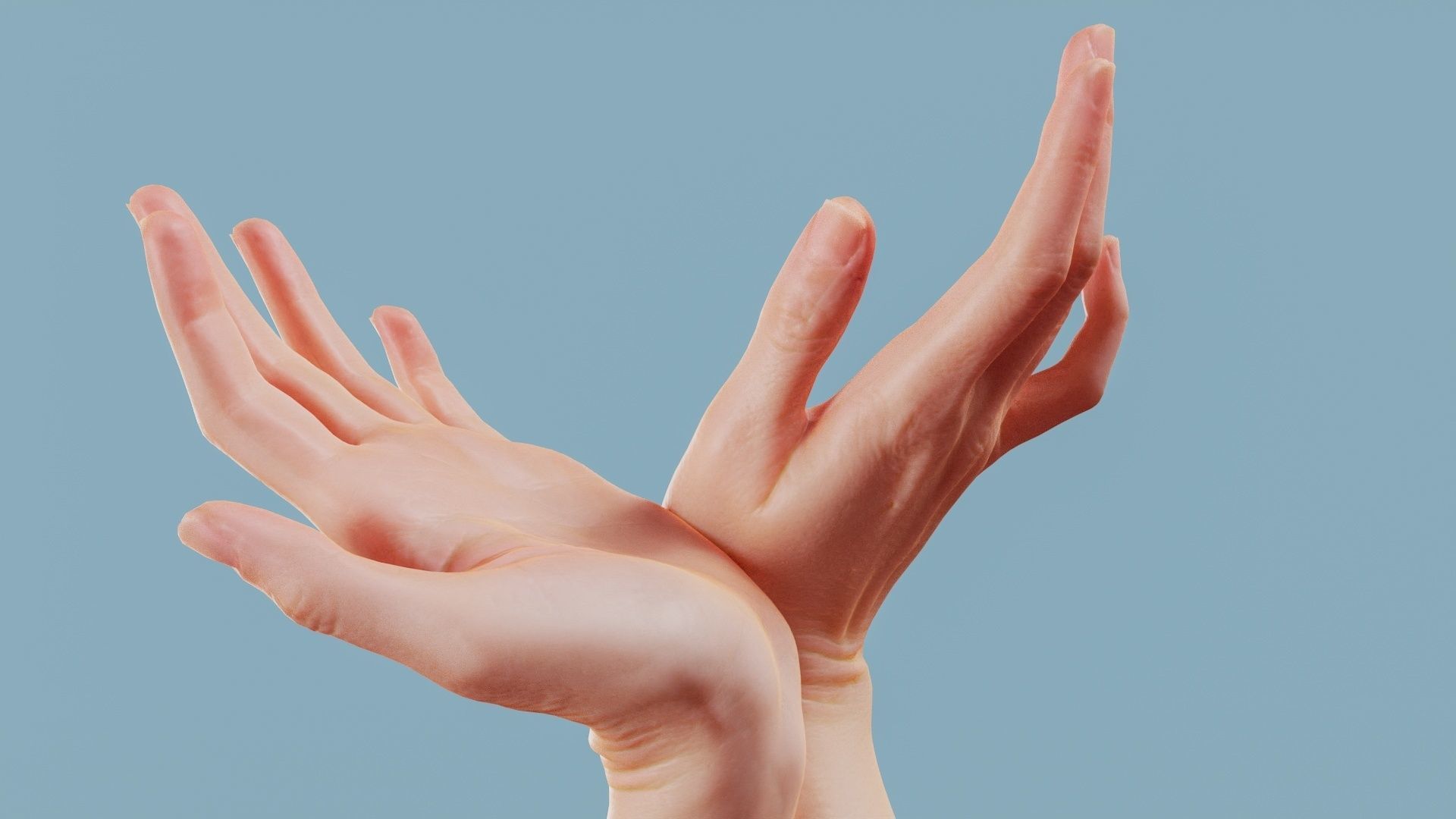 19 Photorealistic Interacting Female Hand Poses 3D Model Collection_12