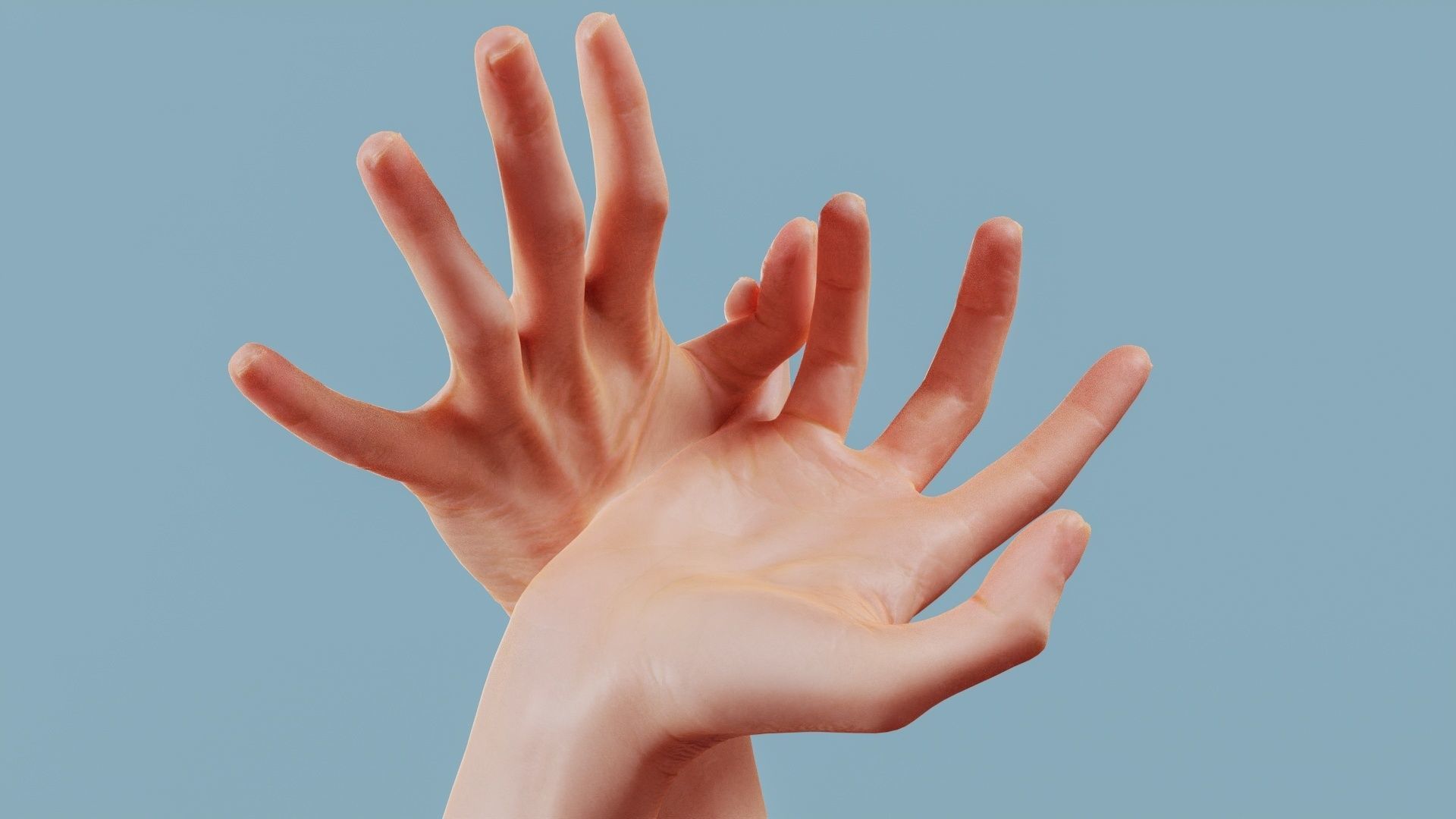 19 Photorealistic Interacting Female Hand Poses 3D Model Collection_19