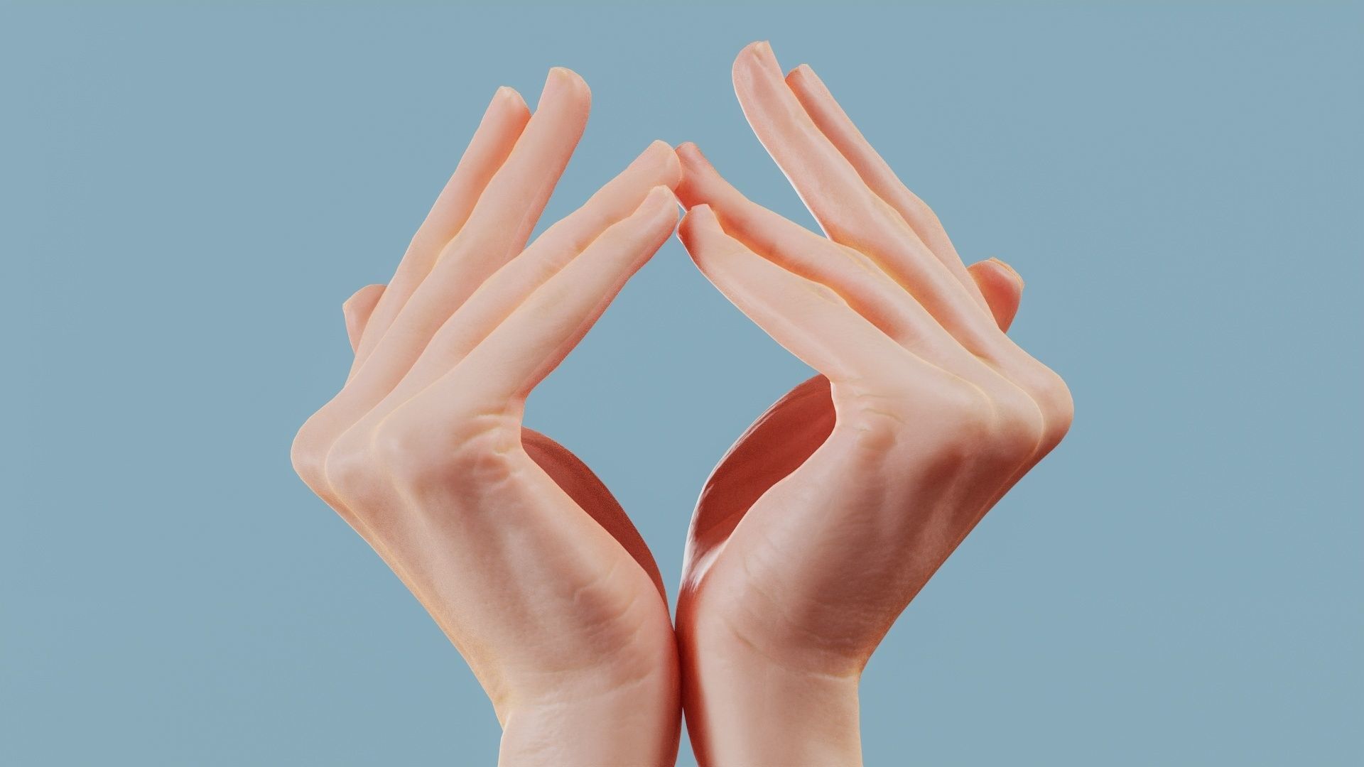 19 Photorealistic Interacting Female Hand Poses 3D Model Collection_18