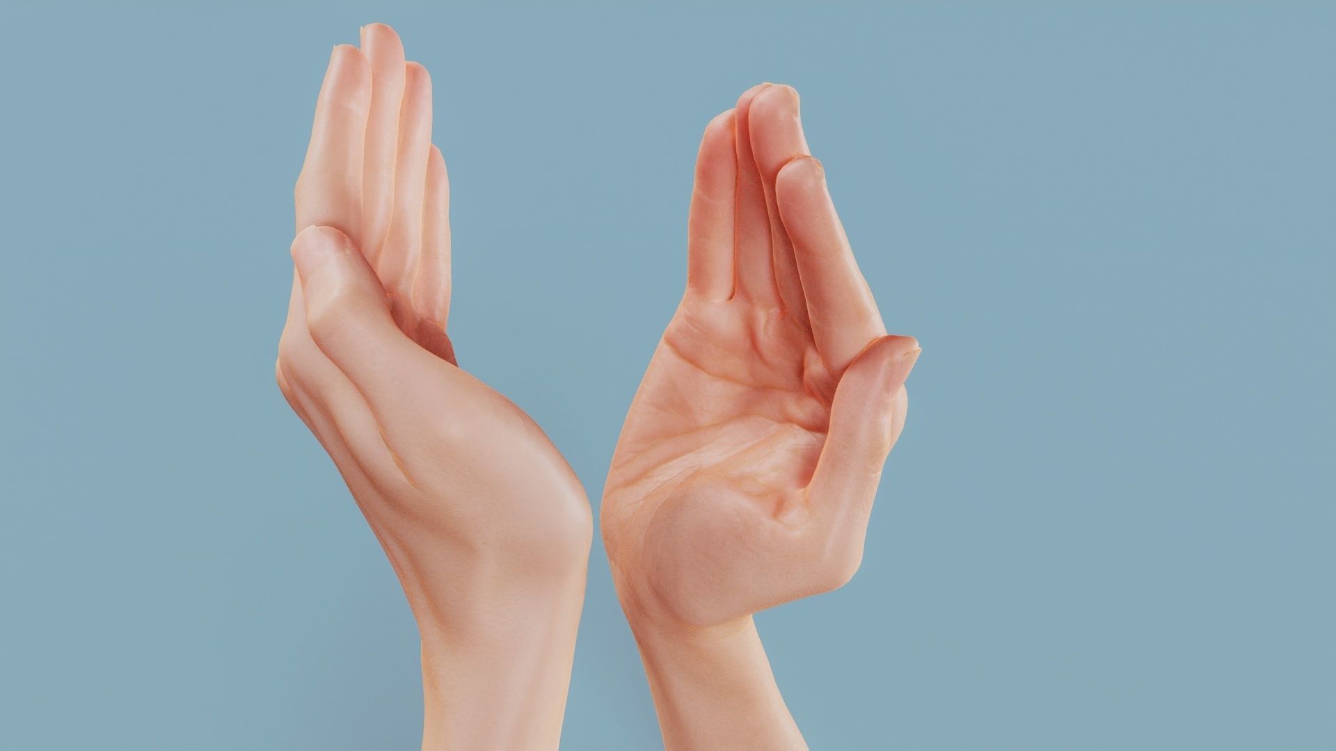 19 Photorealistic Interacting Female Hand Poses 3D Model Collection_17