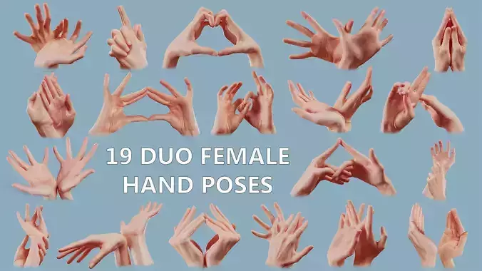 19 Photorealistic Interacting Female Hand Poses 3D Model Collection
