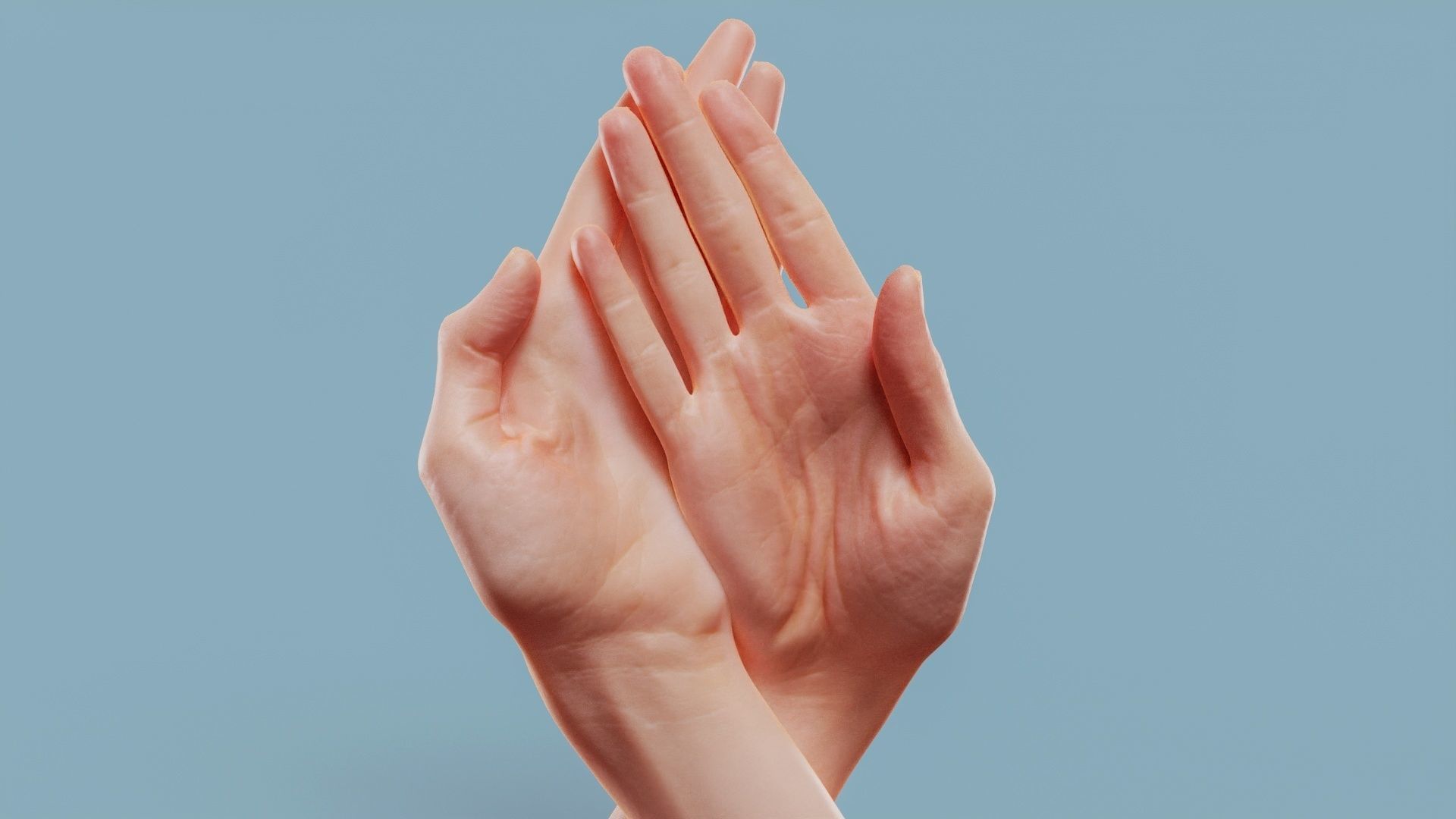 19 Photorealistic Interacting Female Hand Poses 3D Model Collection_9