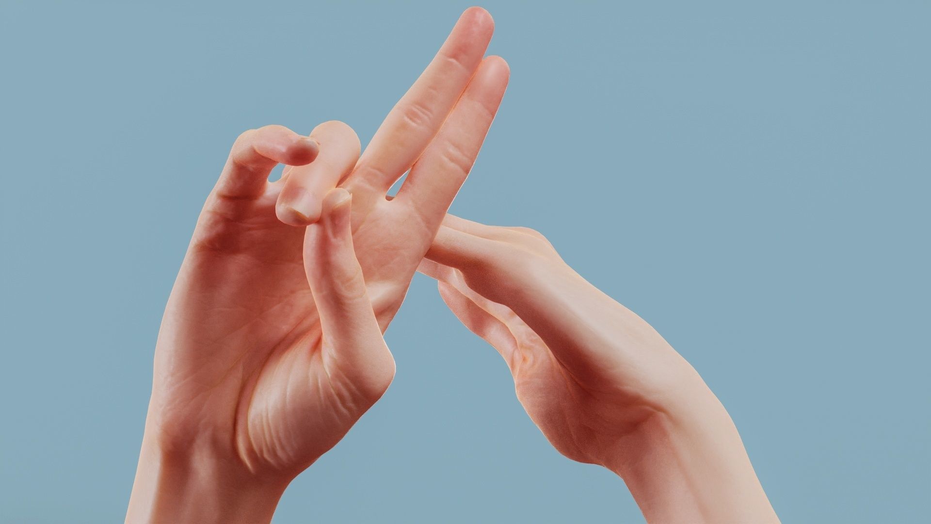19 Photorealistic Interacting Female Hand Poses 3D Model Collection_4