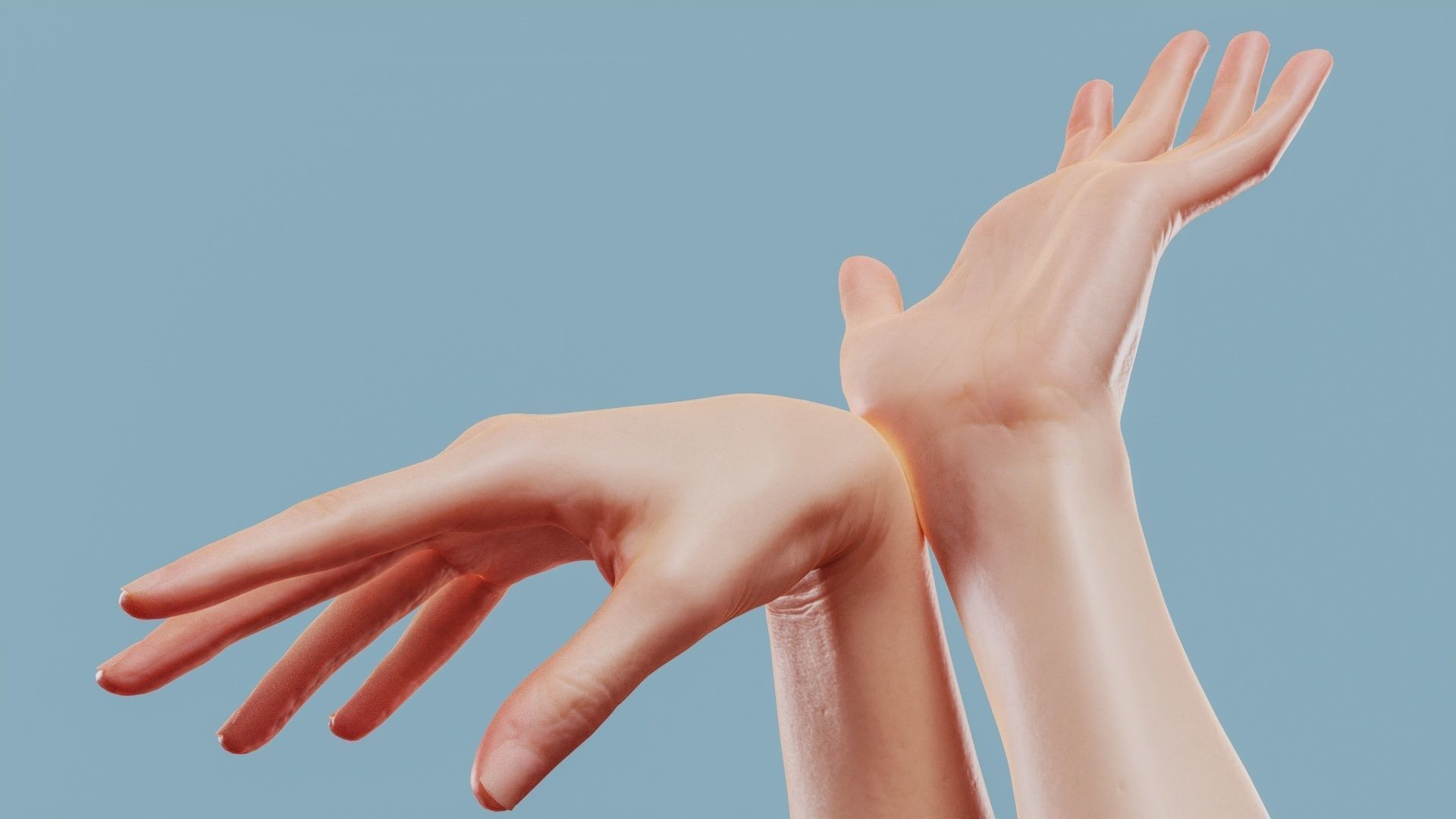 19 Photorealistic Interacting Female Hand Poses 3D Model Collection_5