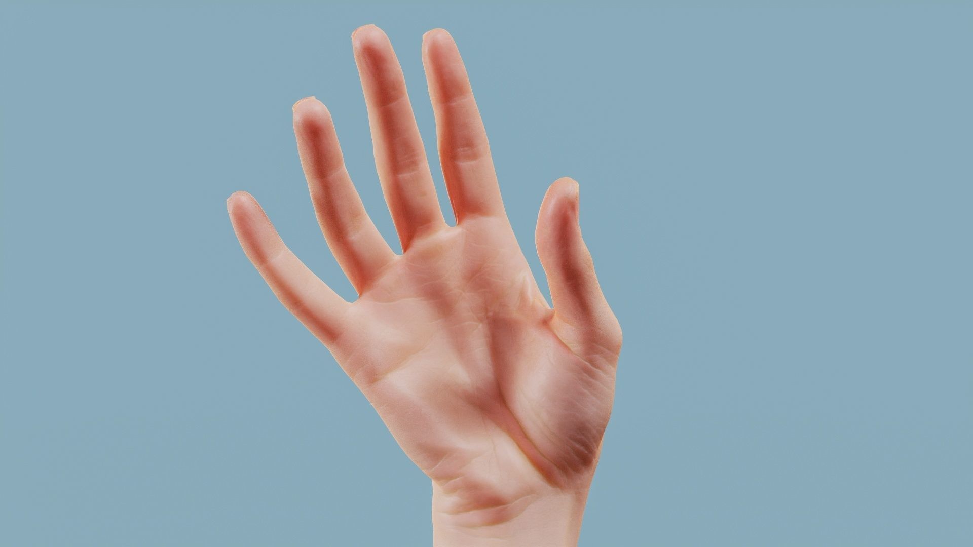 22 Photorealistic Single Female Hand Poses 3D Model Collection_5