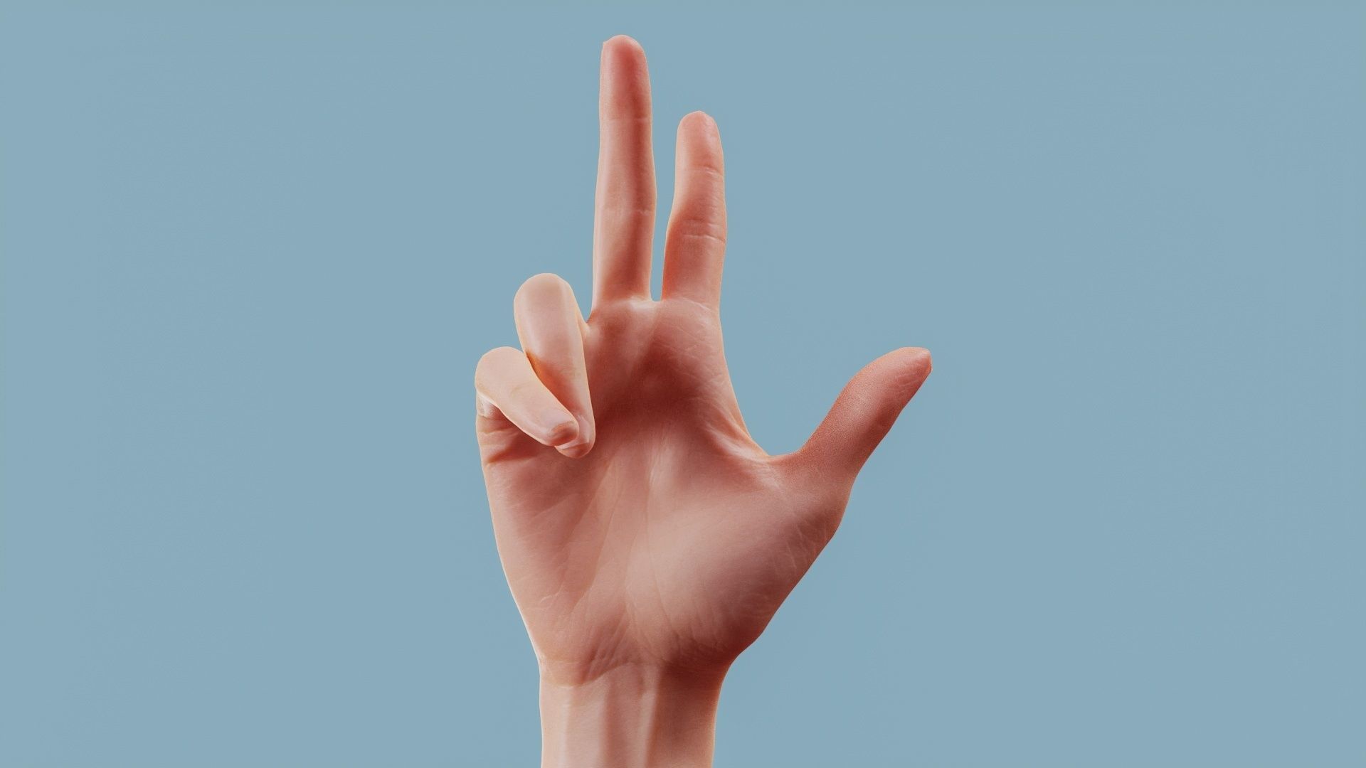 22 Photorealistic Single Female Hand Poses 3D Model Collection_6