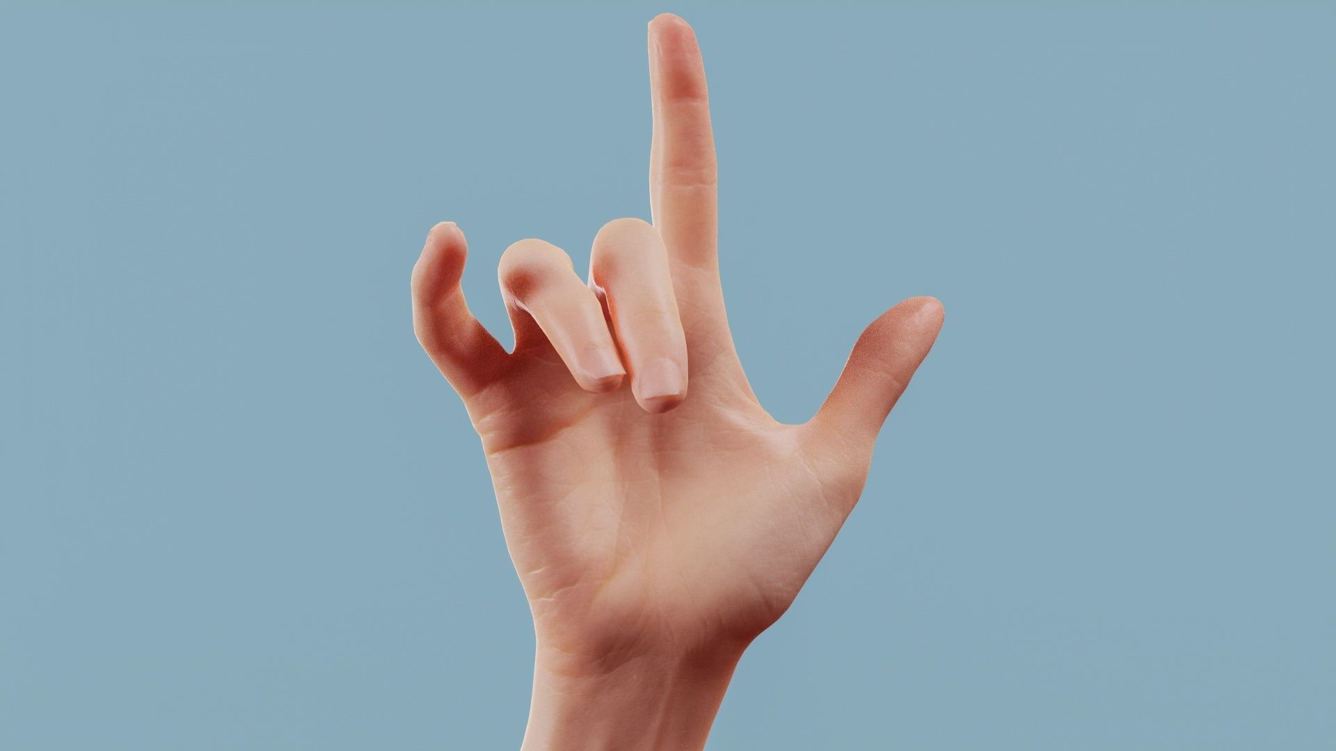 22 Photorealistic Single Female Hand Poses 3D Model Collection_3