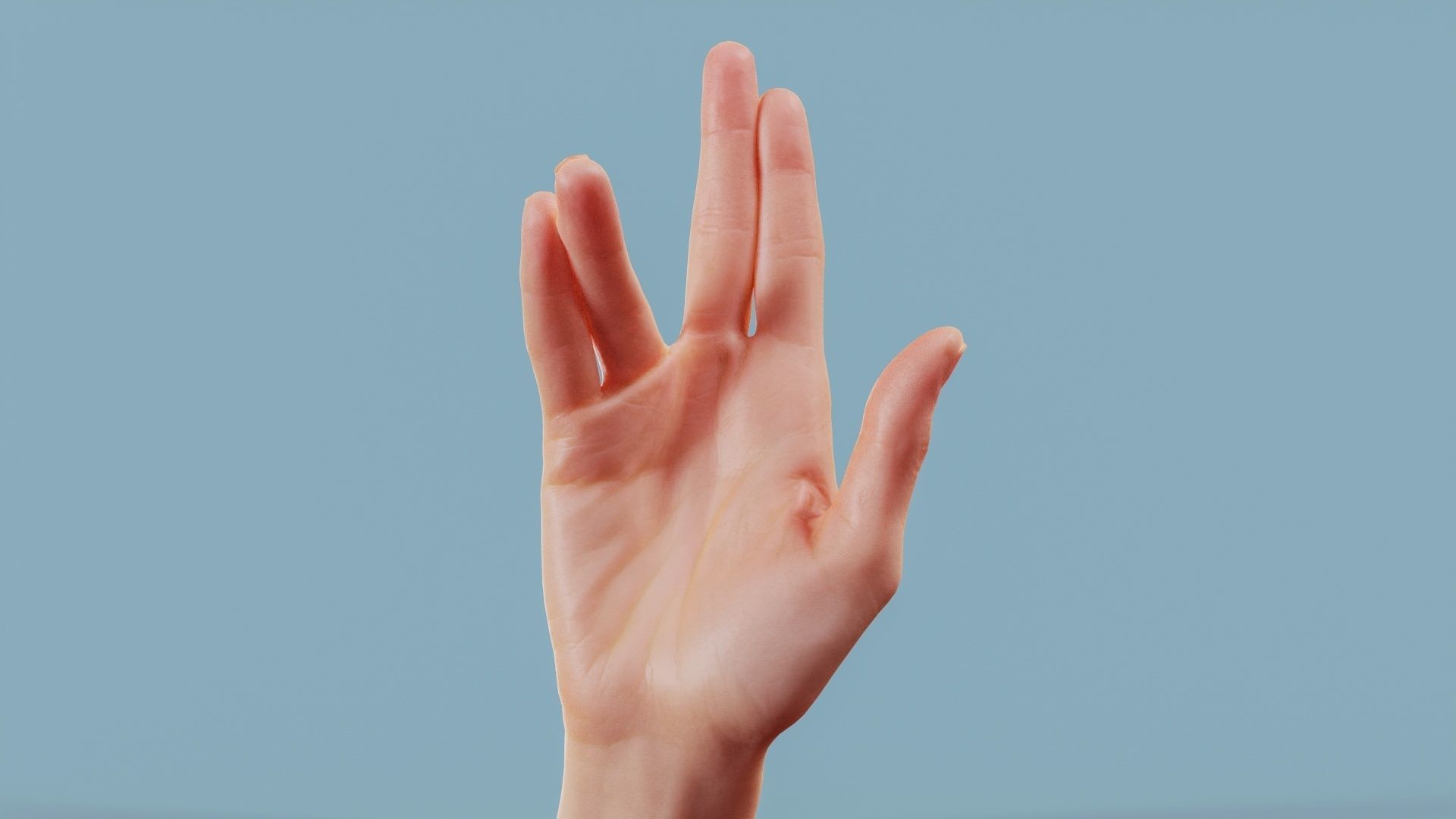 22 Photorealistic Single Female Hand Poses 3D Model Collection_13