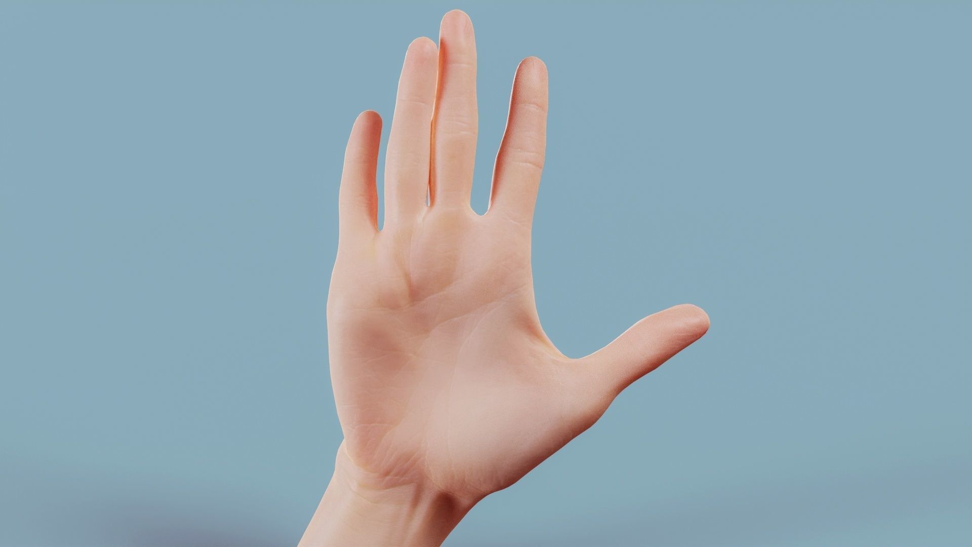 22 Photorealistic Single Female Hand Poses 3D Model Collection_17