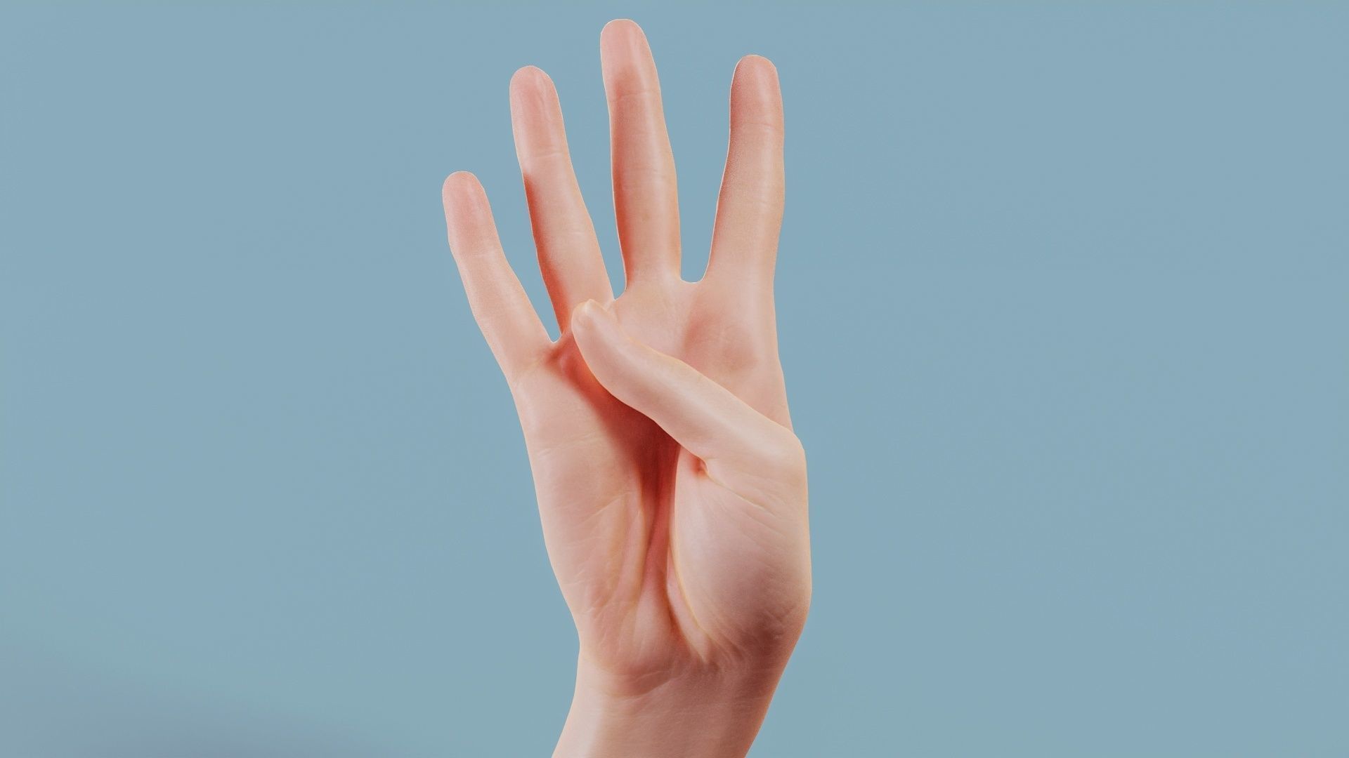 22 Photorealistic Single Female Hand Poses 3D Model Collection_9