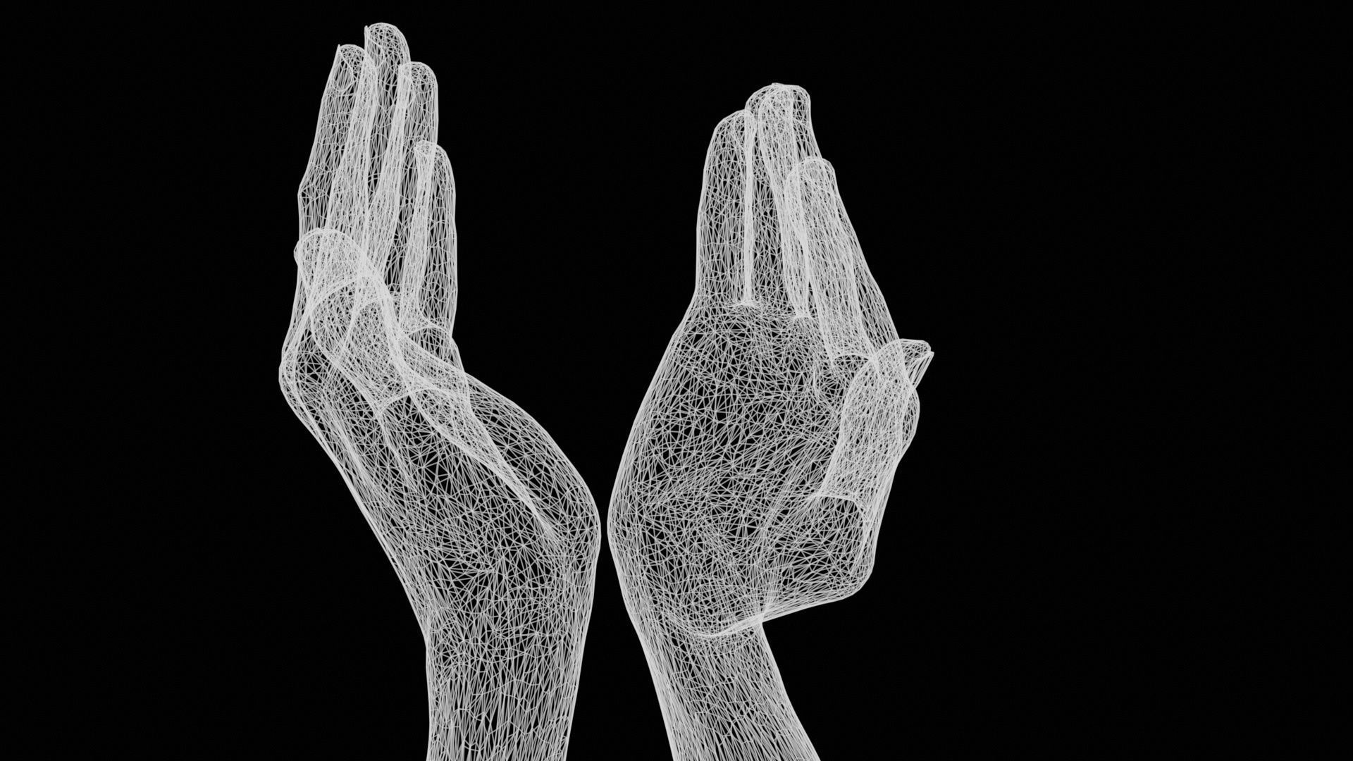 22 Photorealistic Single Female Hand Poses 3D Model Collection_24