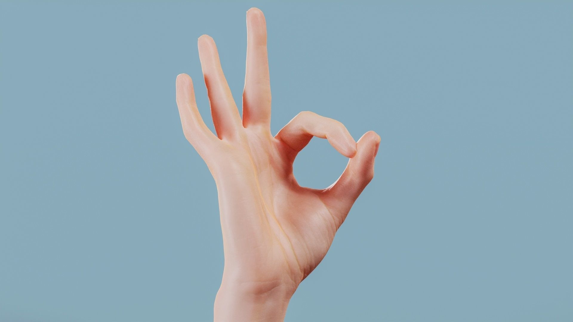 22 Photorealistic Single Female Hand Poses 3D Model Collection_8