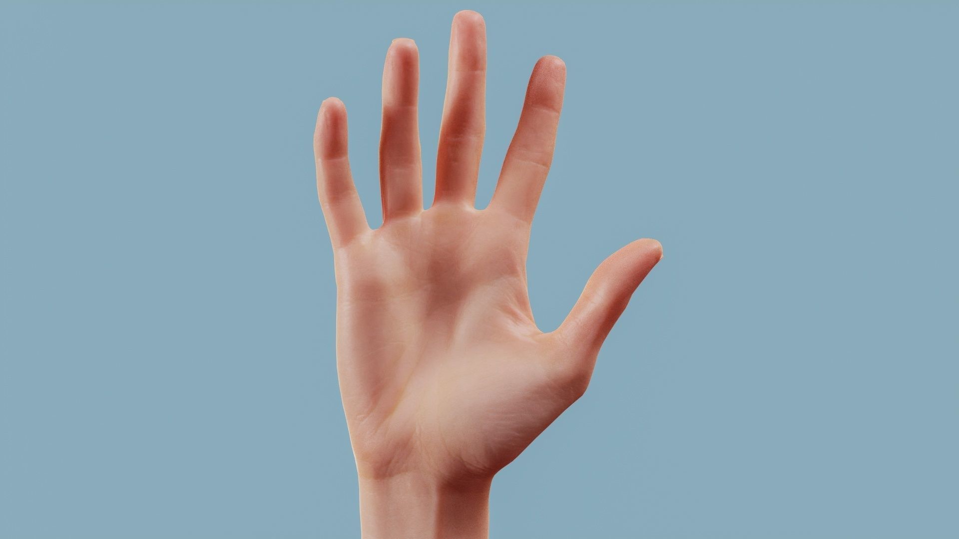 22 Photorealistic Single Female Hand Poses 3D Model Collection_1