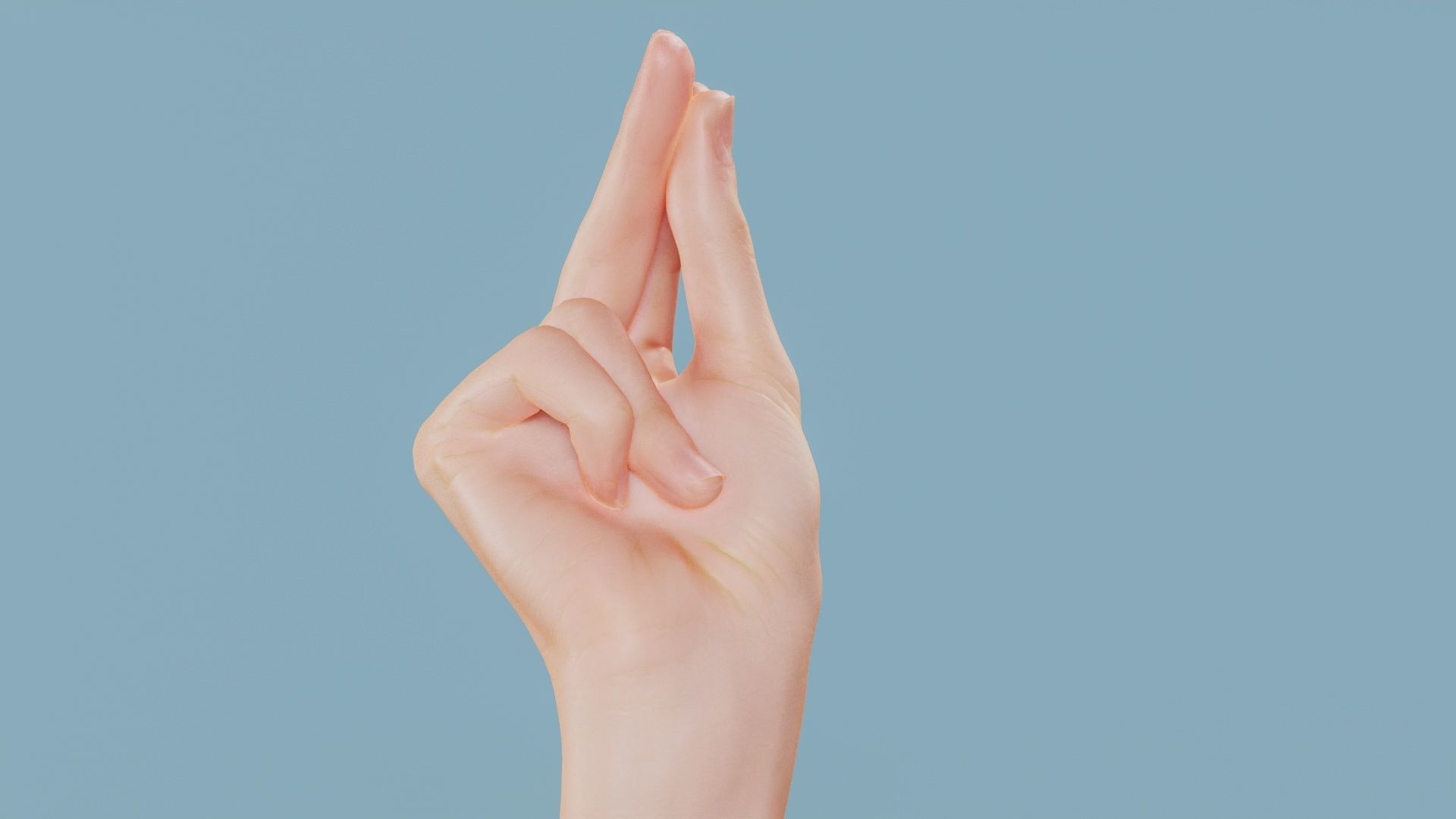 22 Photorealistic Single Female Hand Poses 3D Model Collection_11