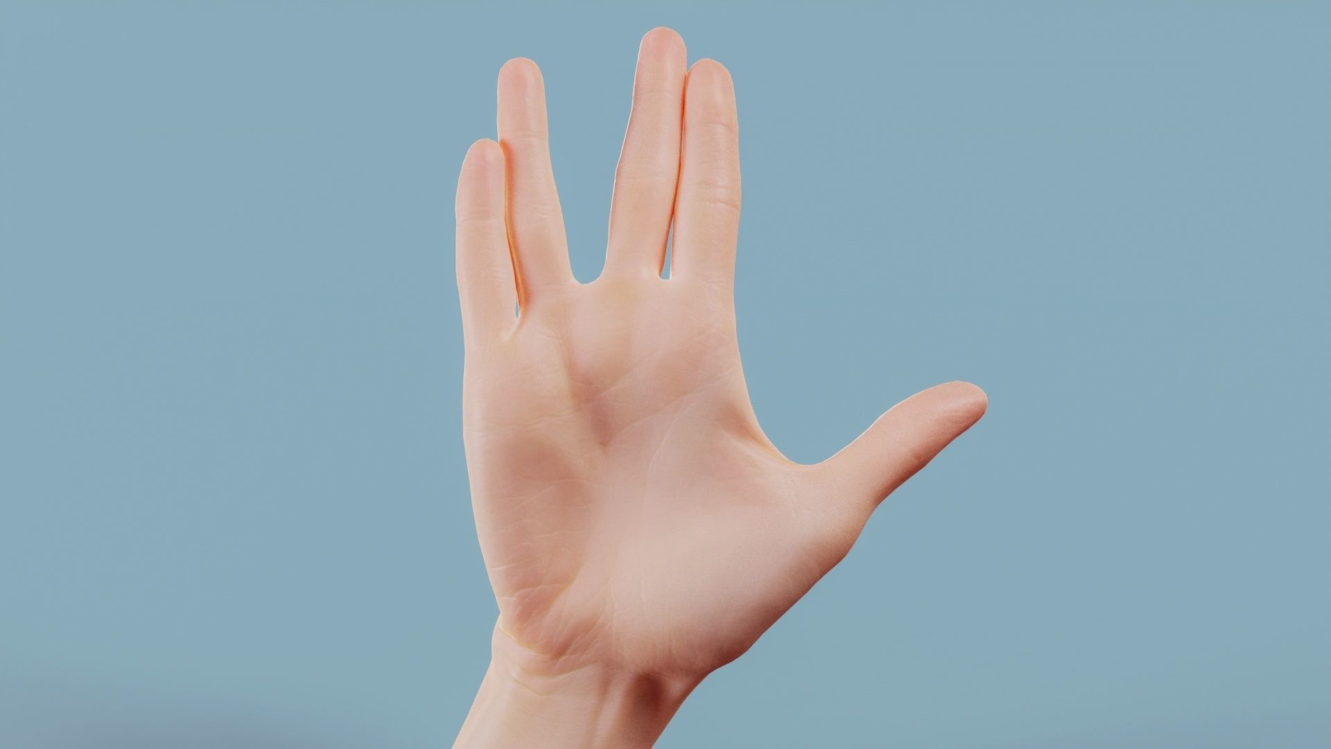 22 Photorealistic Single Female Hand Poses 3D Model Collection_22