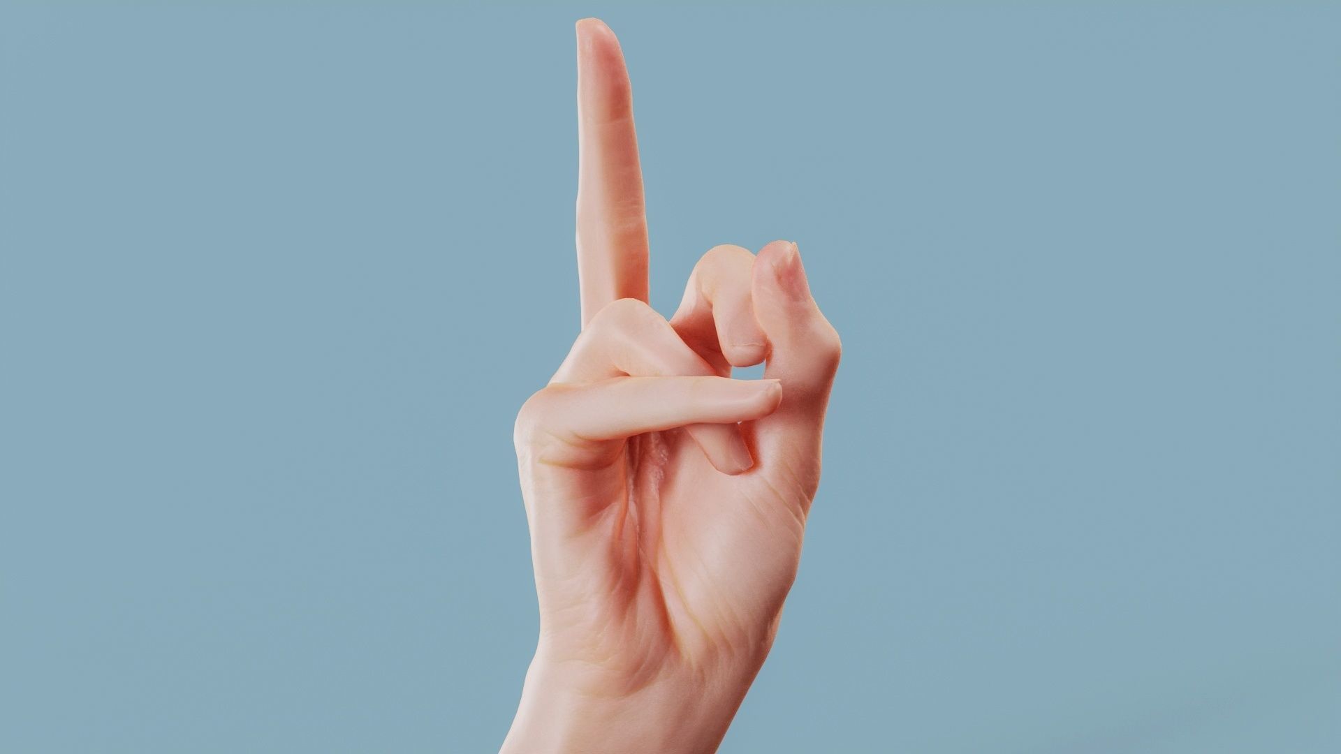 22 Photorealistic Single Female Hand Poses 3D Model Collection_14